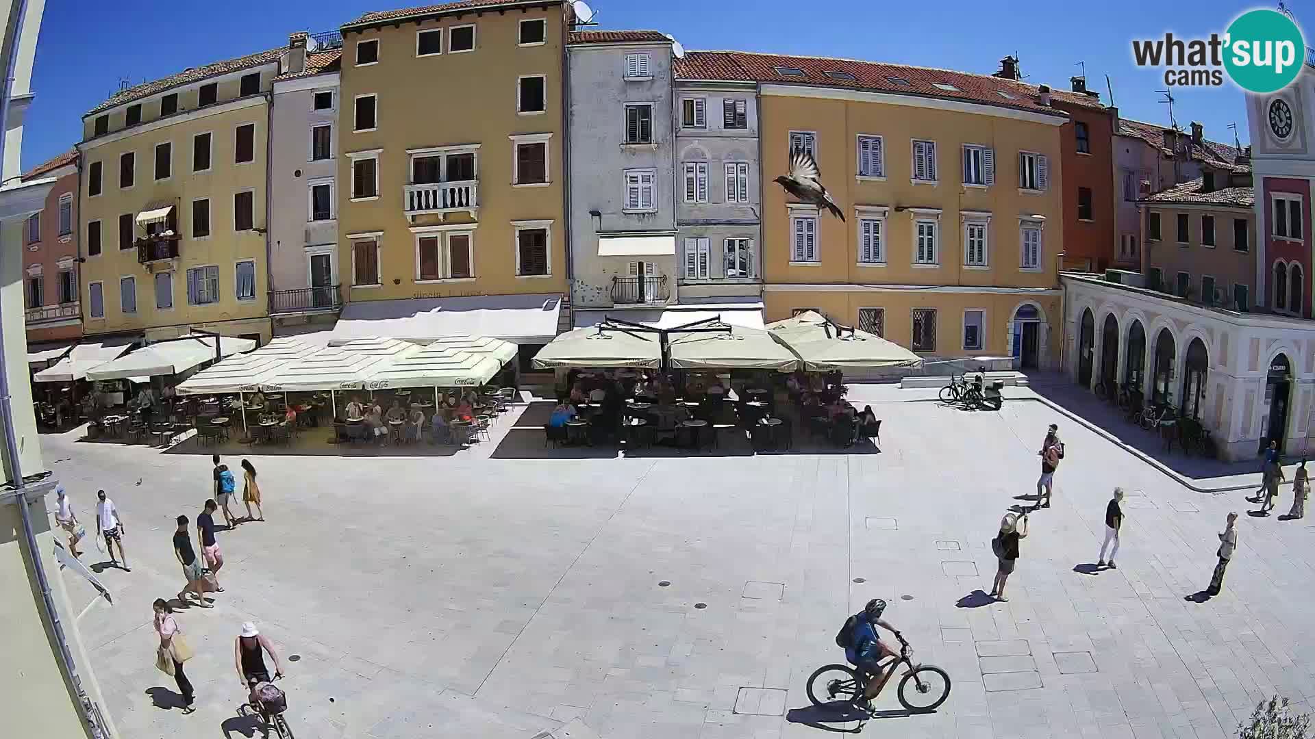 Webcam Rovinj Centre – Place Principale