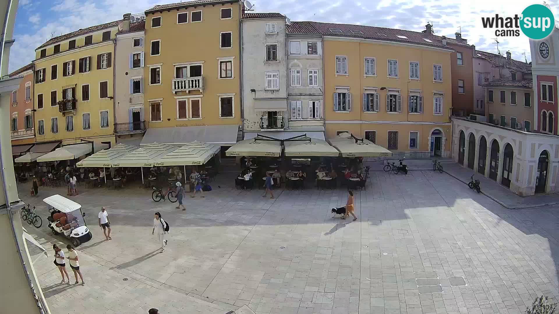 Spletna kamera Rovinj Center – Glavni trg