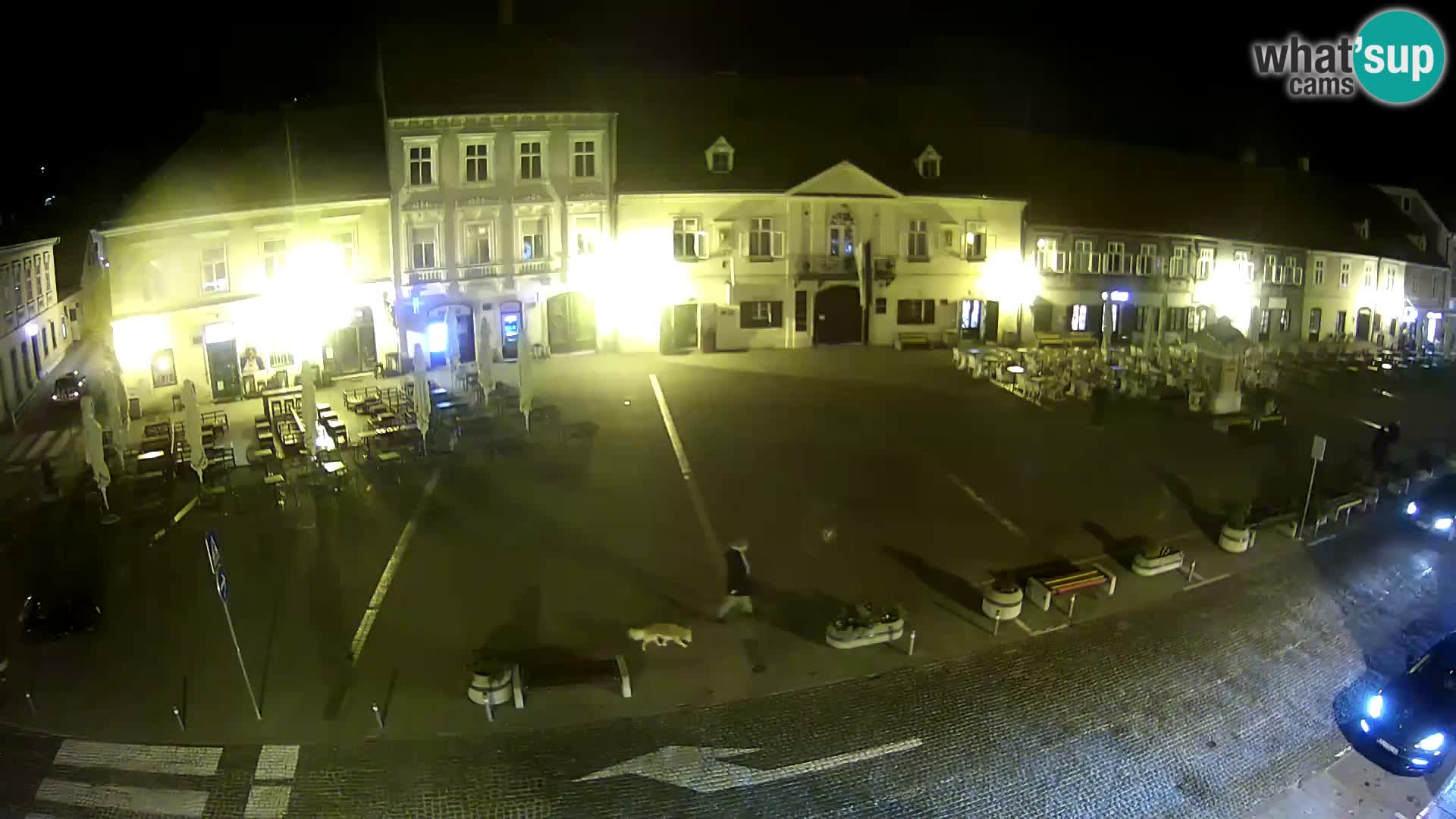 Camera en vivo Samobor – Plaza principal