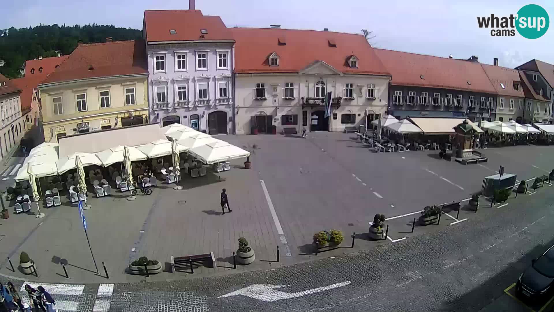Live webcam Samobor – Pizza principale