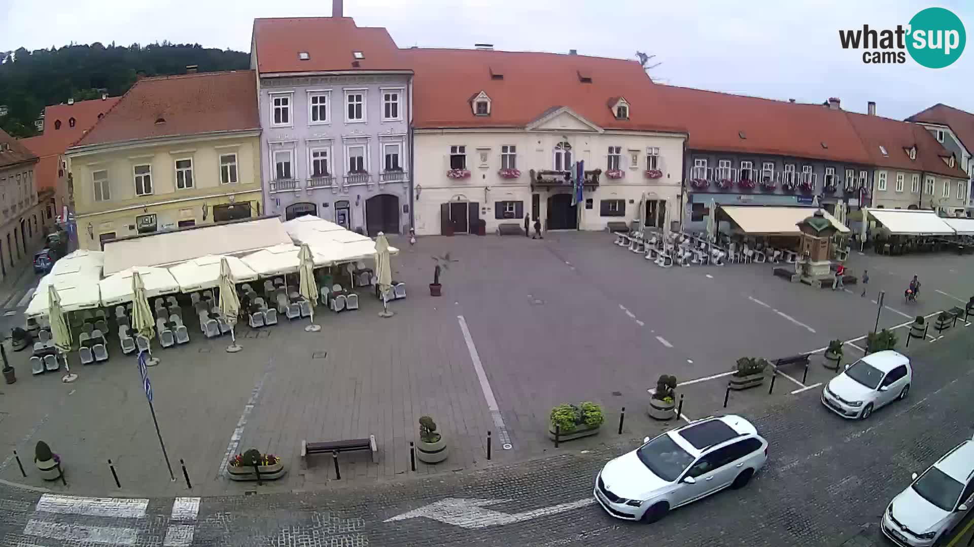 Live webcam Samobor – Pizza principale