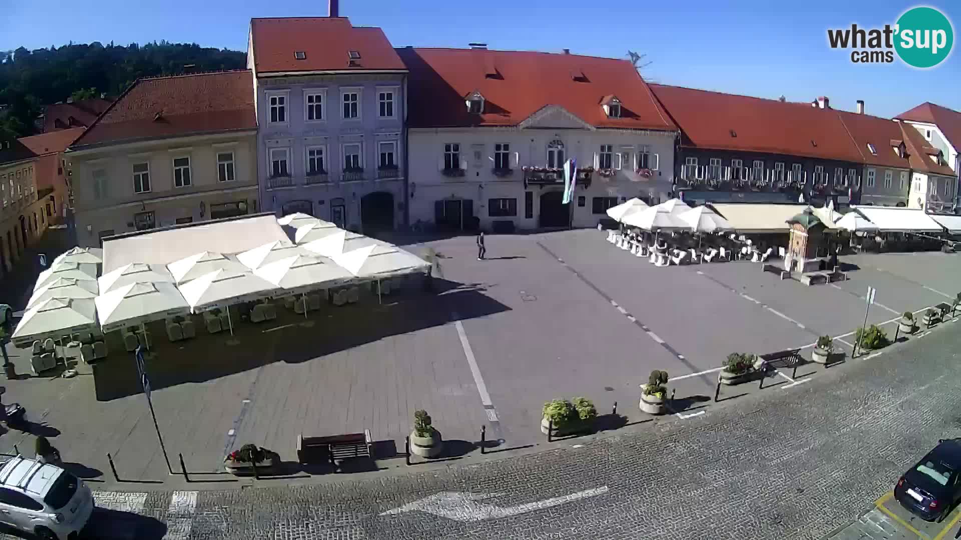 Live webcam Samobor – Pizza principale