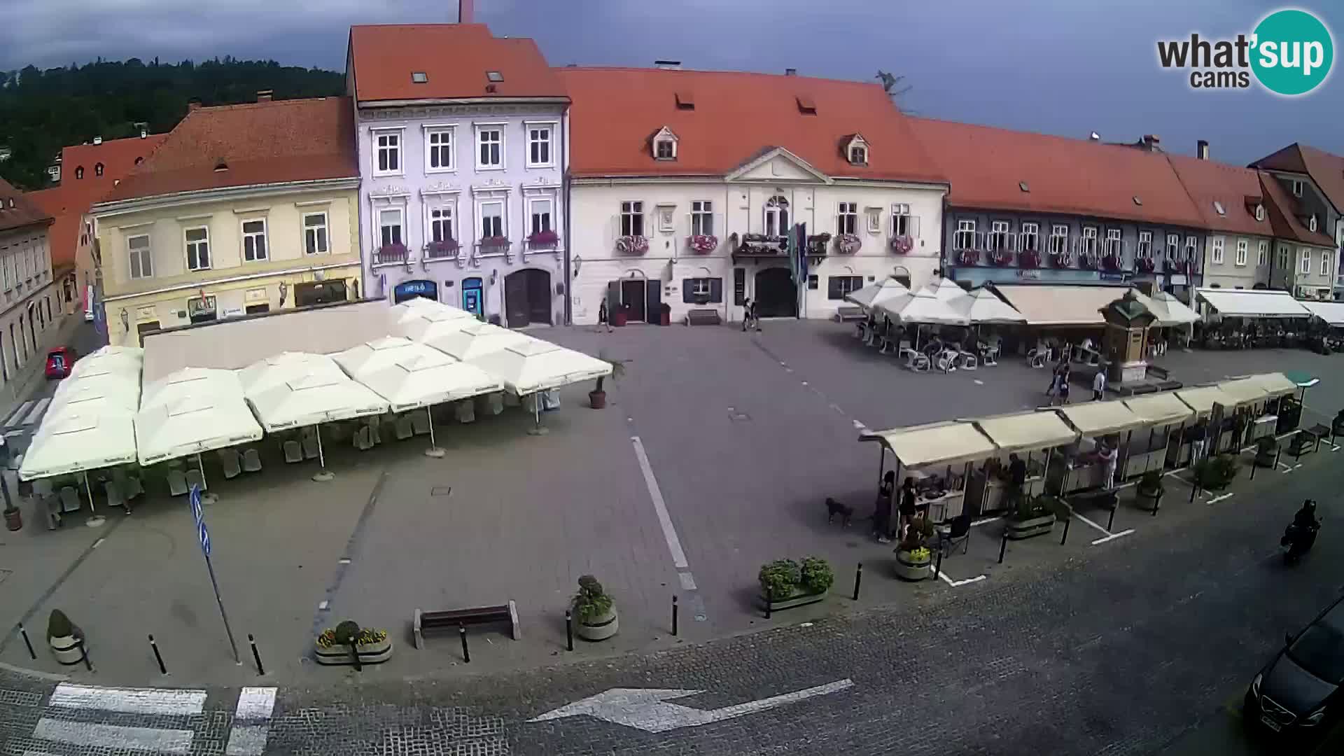 Live webcam Samobor – Pizza principale