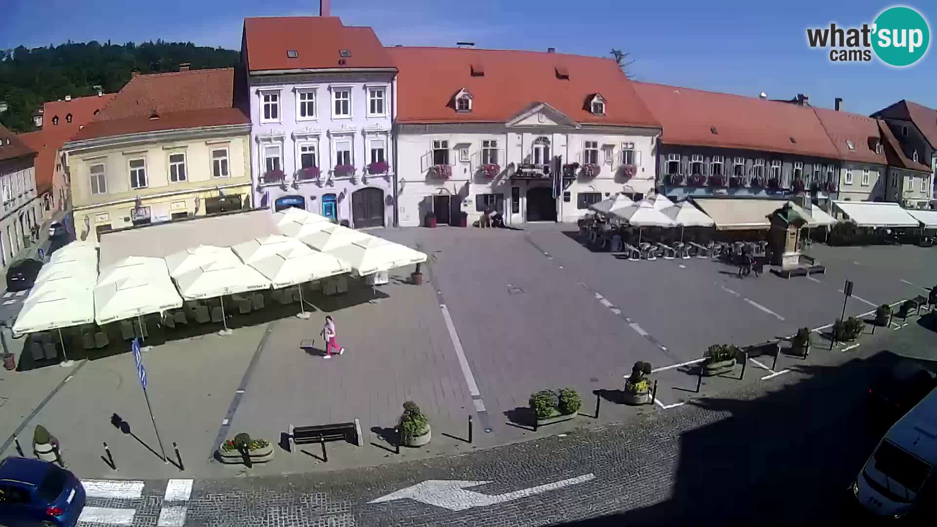Live webcam Samobor – Pizza principale