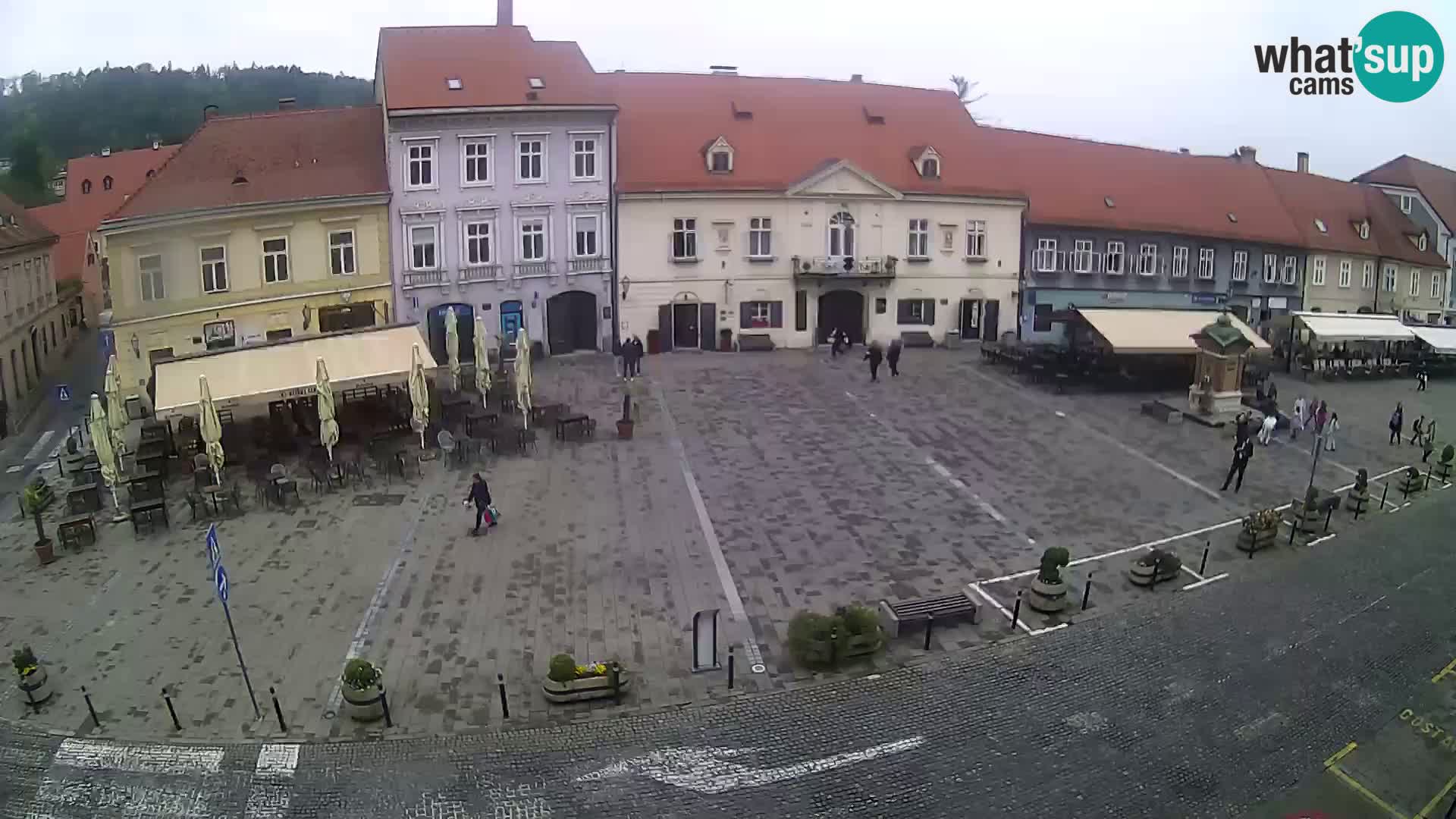 Live webcam Samobor – Pizza principale