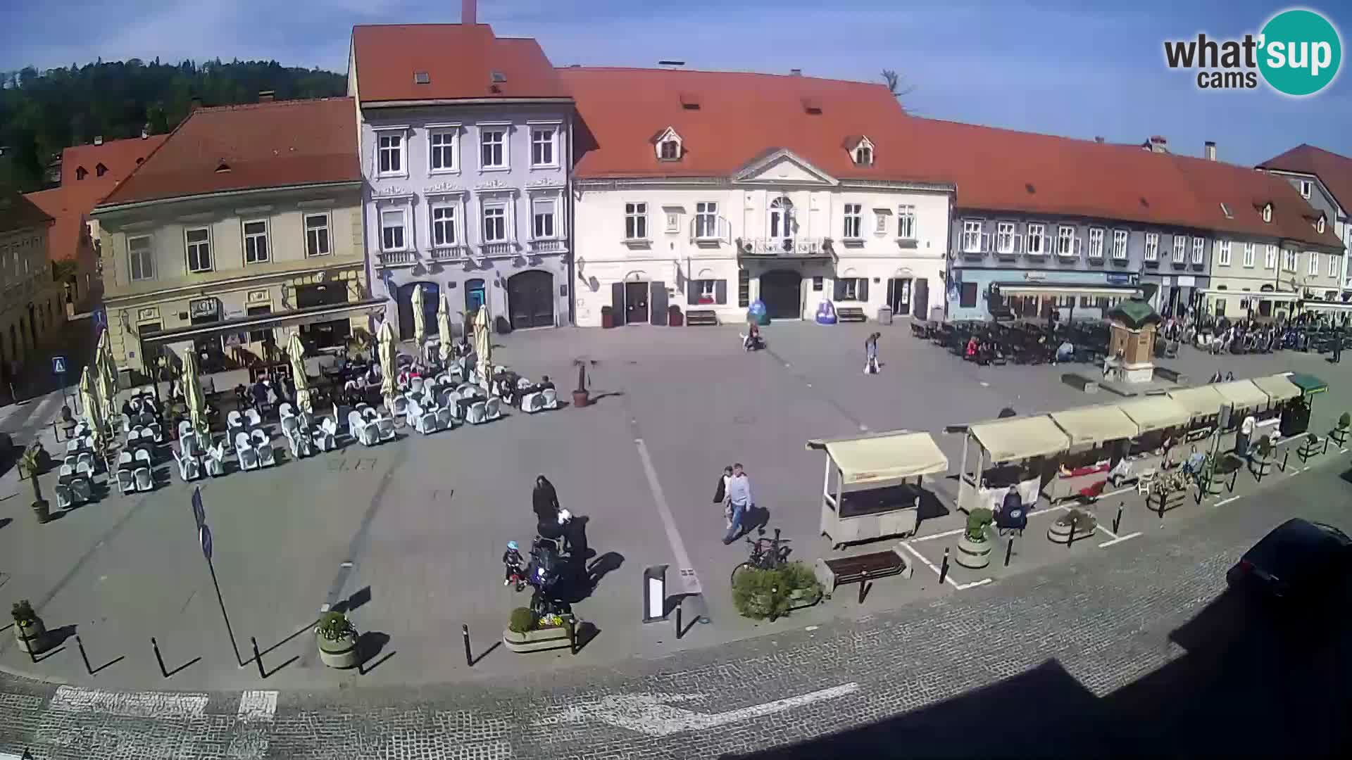 Live webcam Samobor – Pizza principale