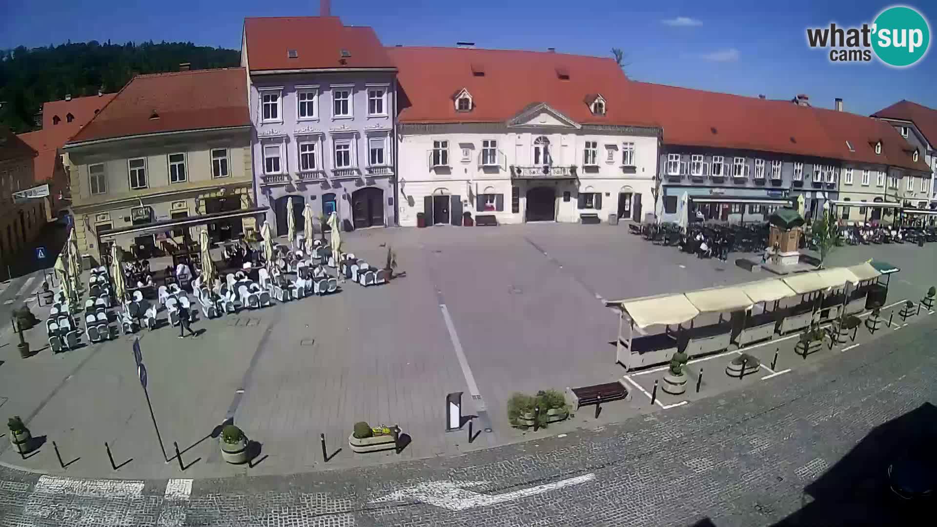 Live webcam Samobor – Pizza principale