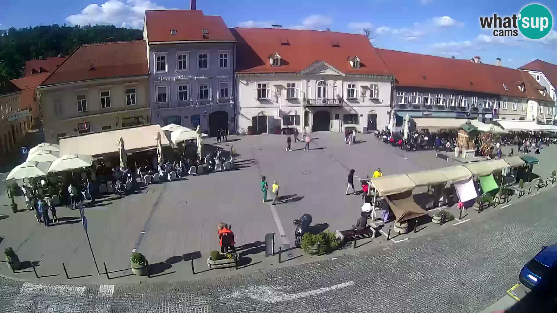 Live webcam Samobor – Pizza principale