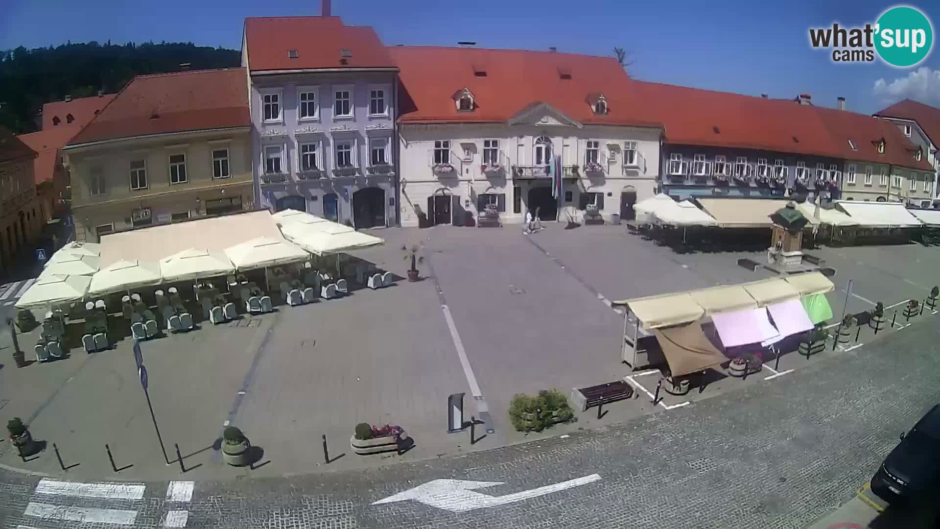 Live webcam Samobor – Pizza principale