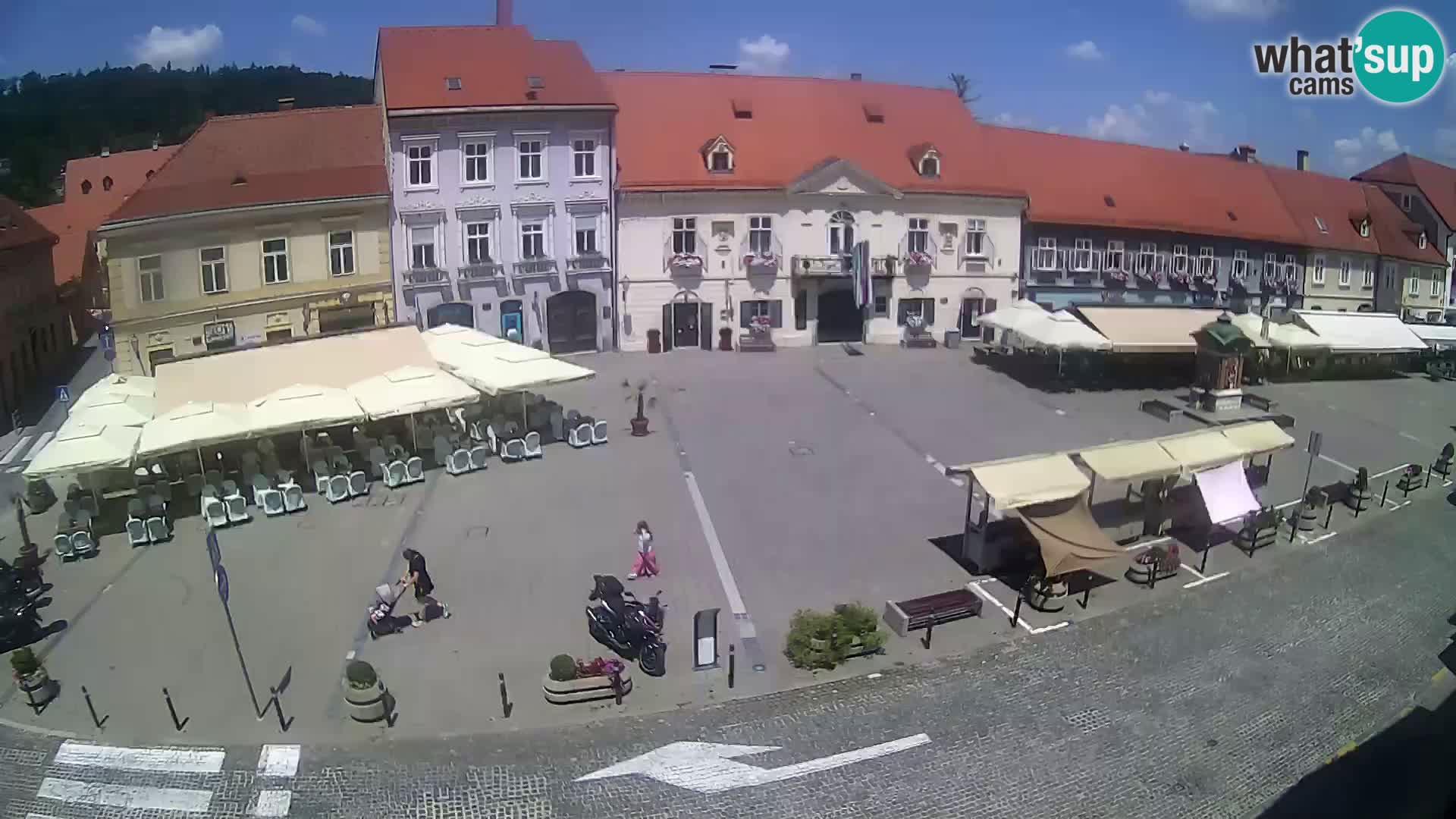 Live webcam Samobor – Pizza principale