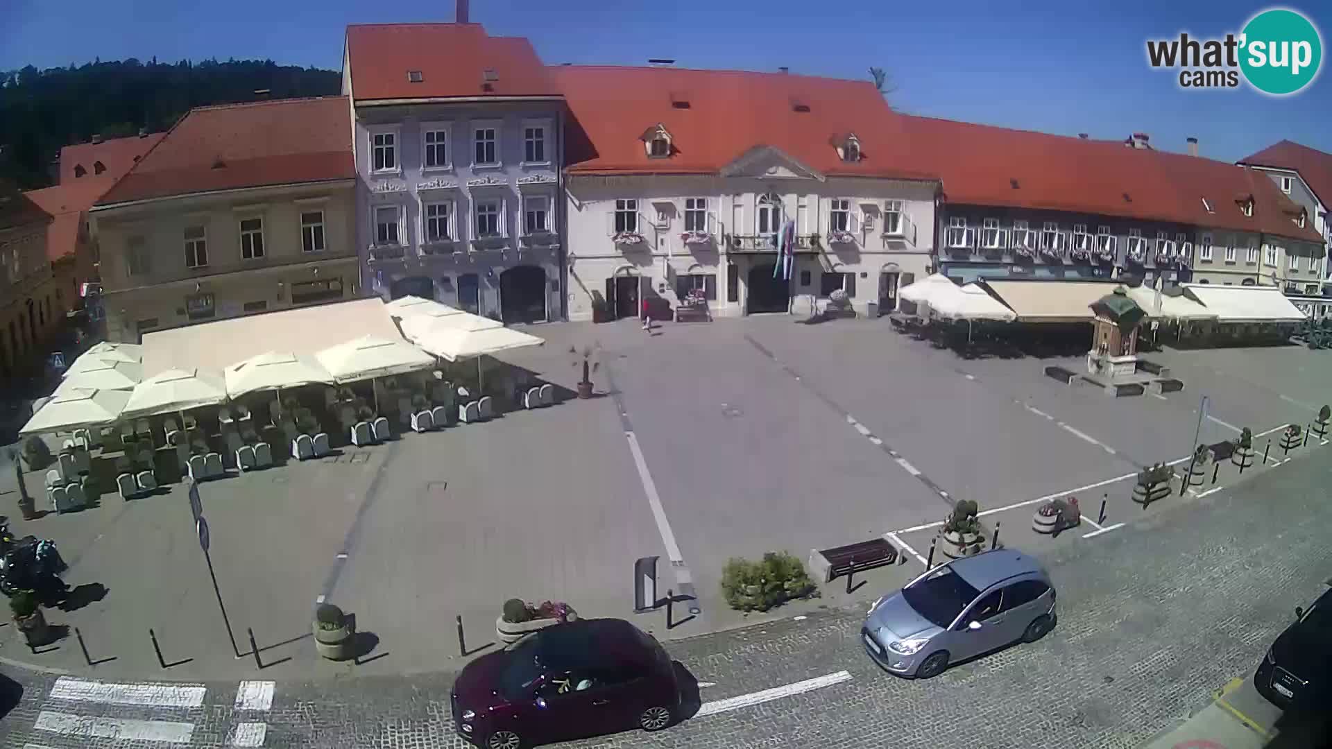 Live webcam Samobor – Pizza principale