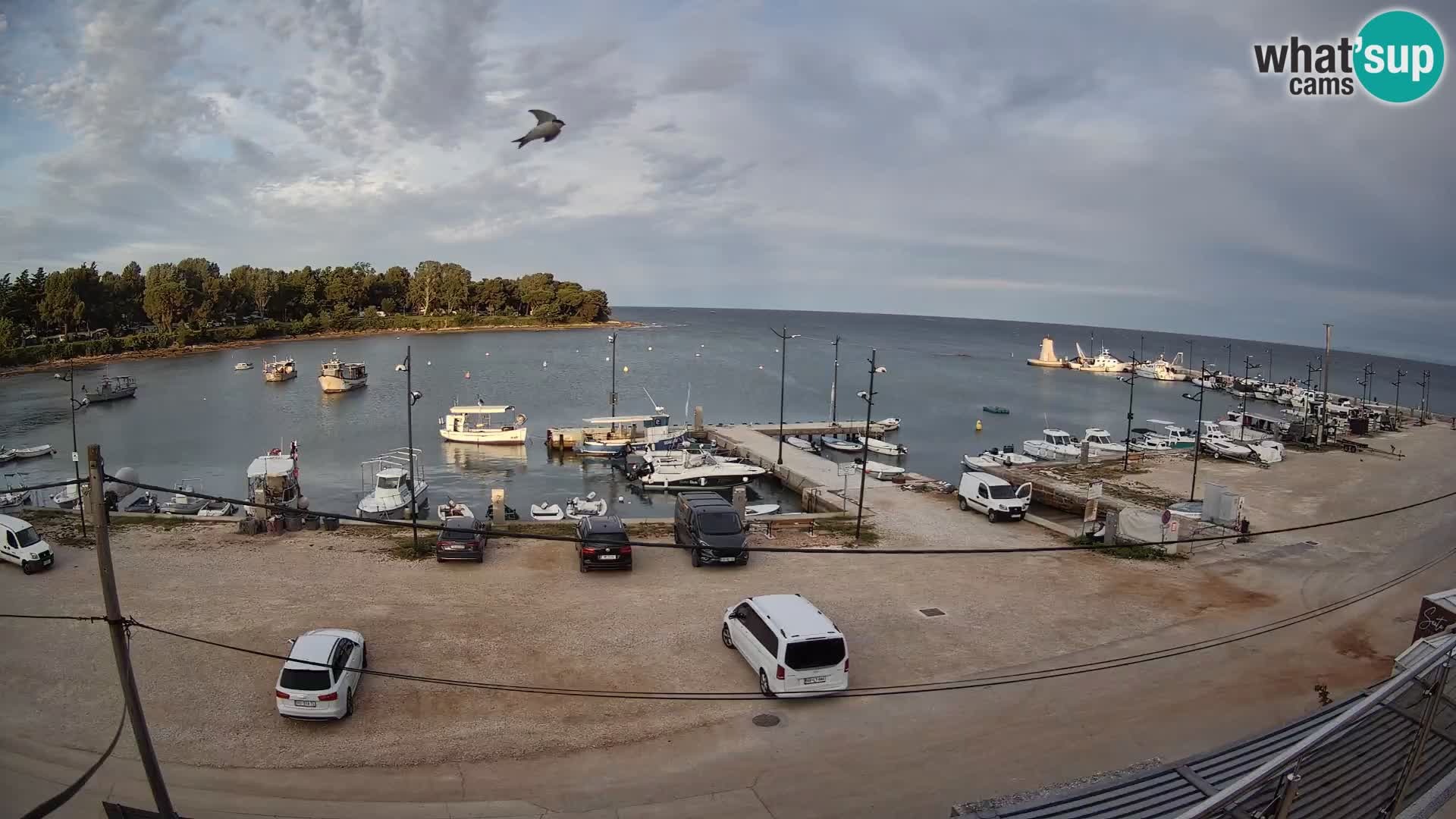 Savudrija webcam – marina