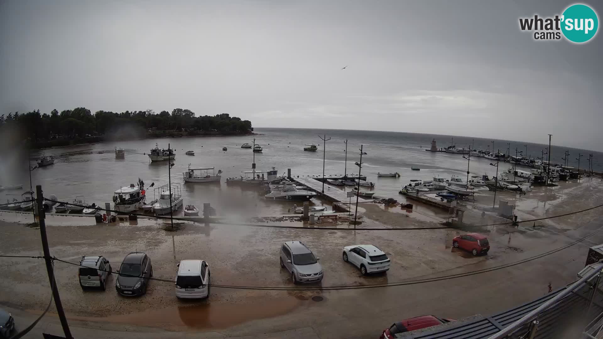 Savudrija webcam – marina