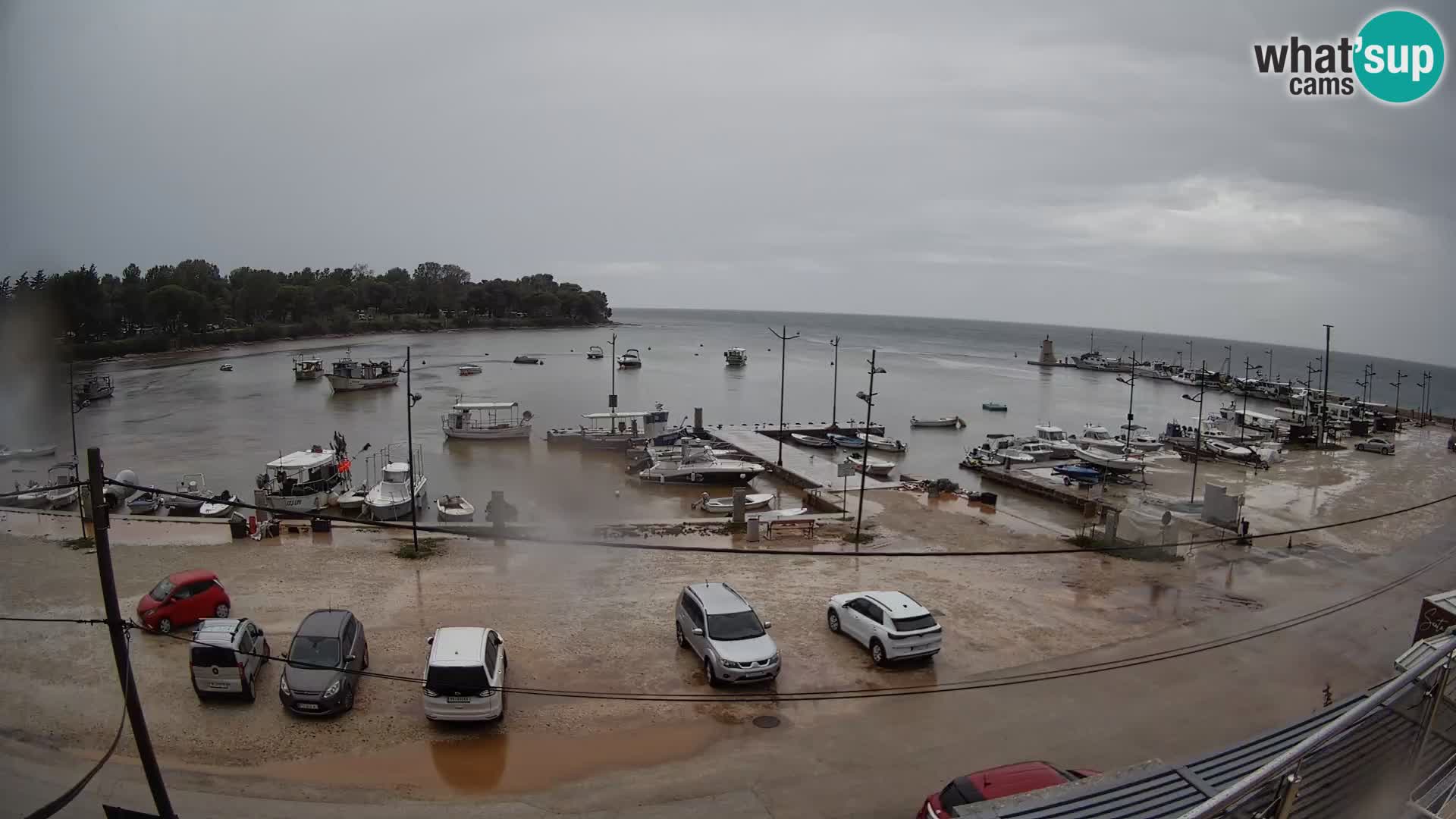 Savudrija – marina