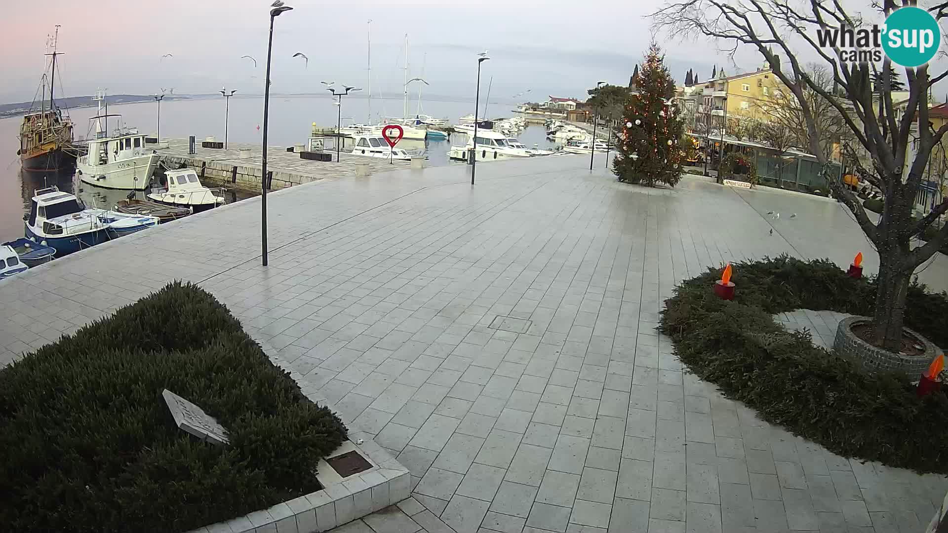 Selce Live webcam – piazza centrale