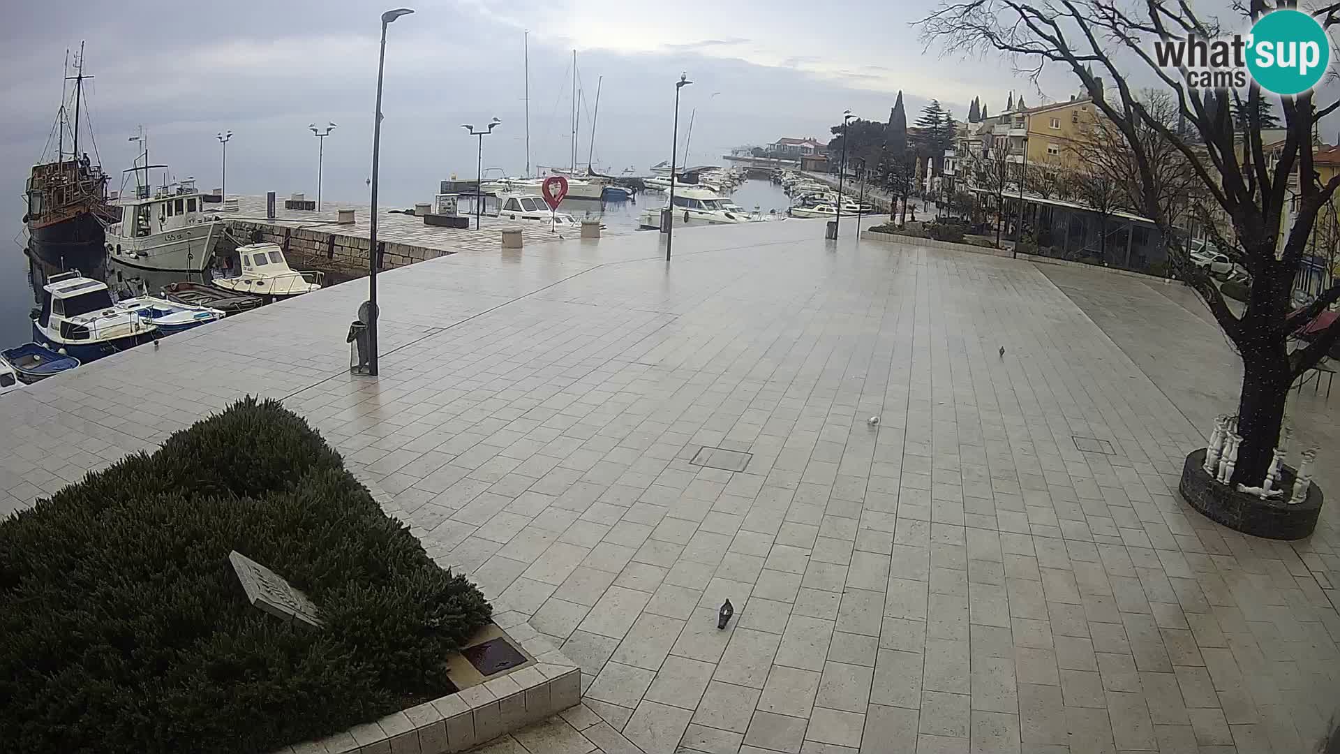 Selce webcam – Hauptplatz