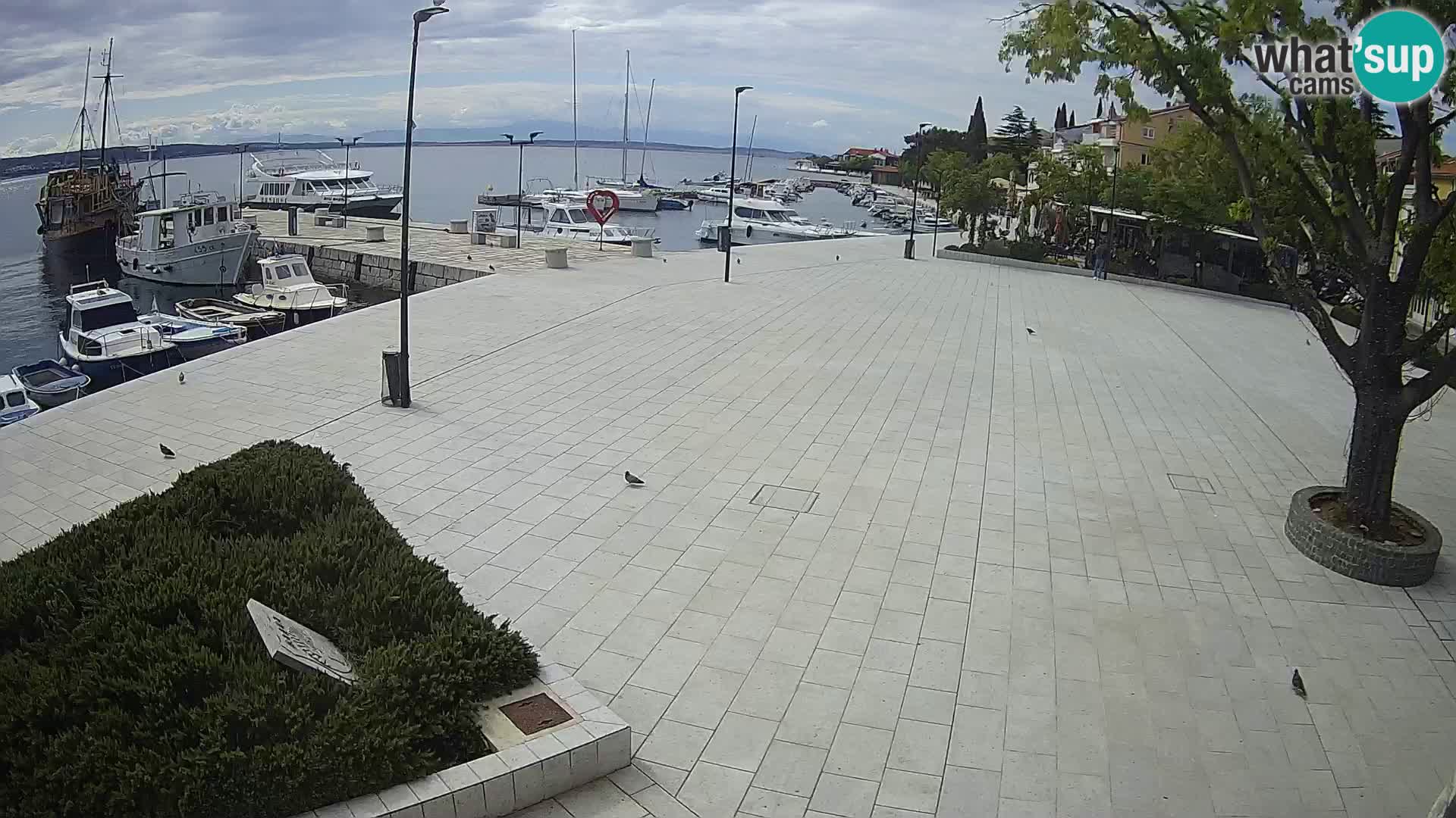 Webcam Selce panorama – Blick von der Wohnung Lela