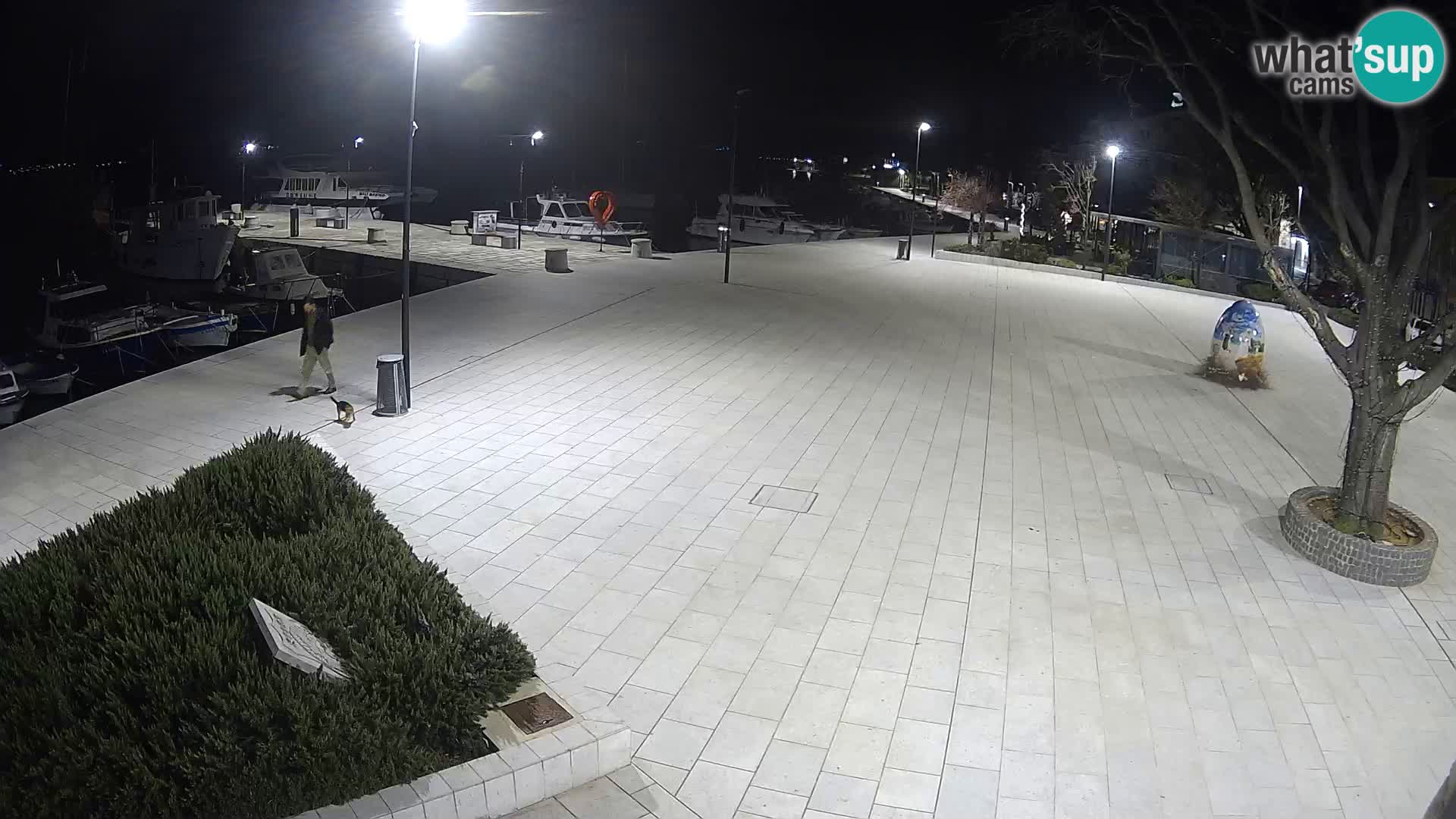 Selce Live webcam – piazza centrale