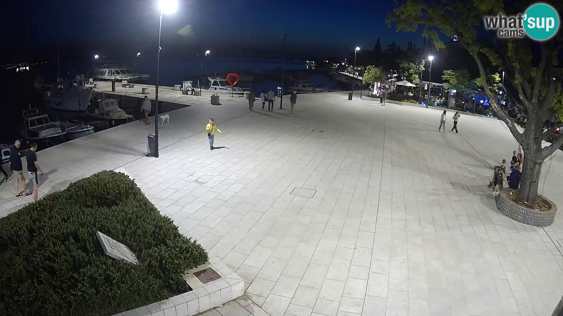 Webcam Selce panorama – Apartamento Lela