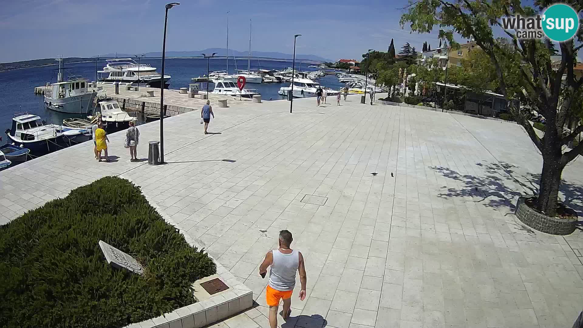 Webcam Selce panorama – View from apartment Lela