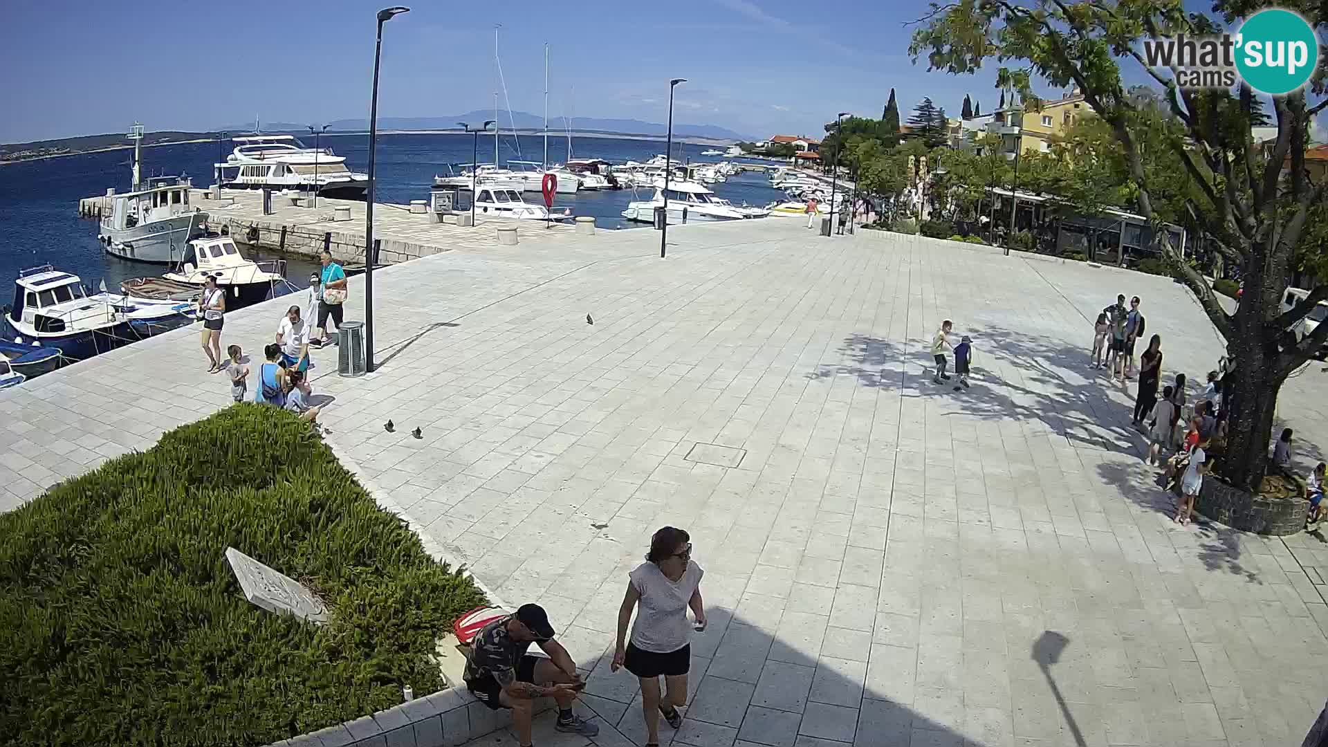 Webcam Selce panorama – View from apartment Lela