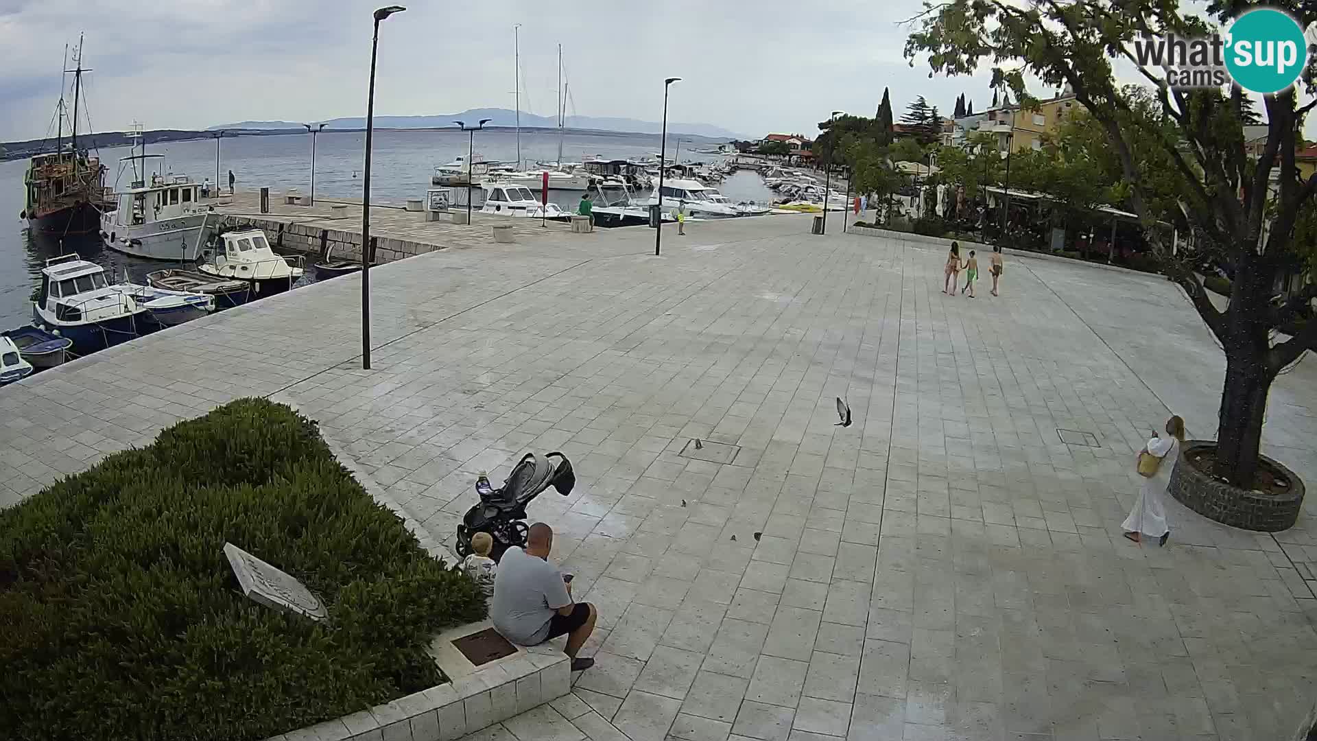 Live Cam Selce panorama – Lela appartement