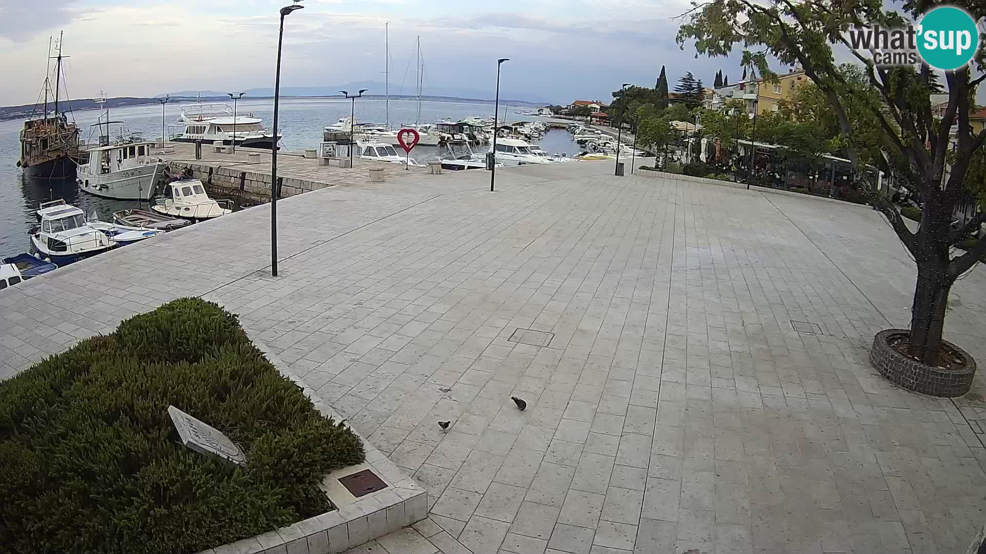 Webcam Selce panorama – Blick von der Wohnung Lela