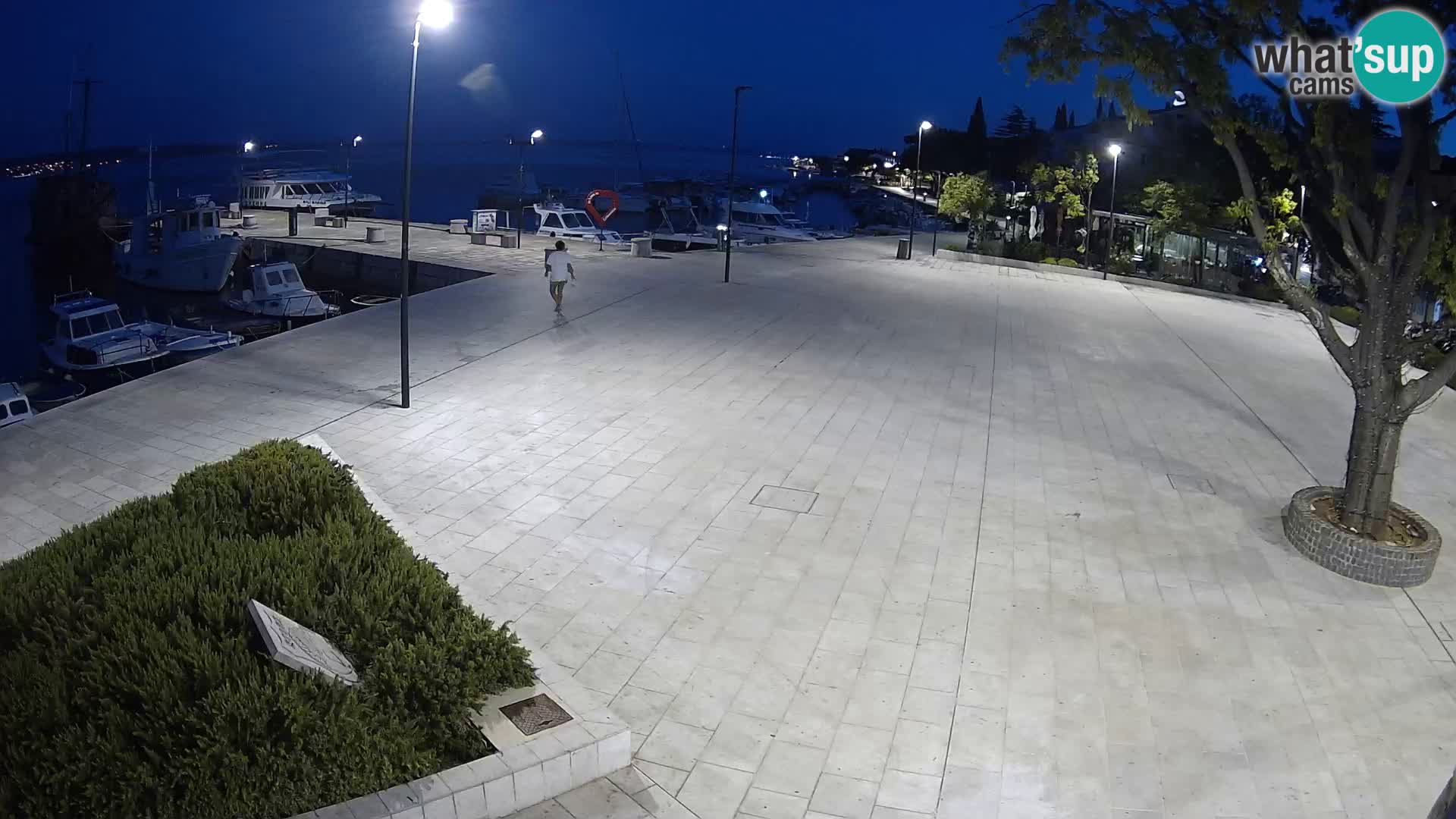 Webcam Selce panorama – View from apartment Lela