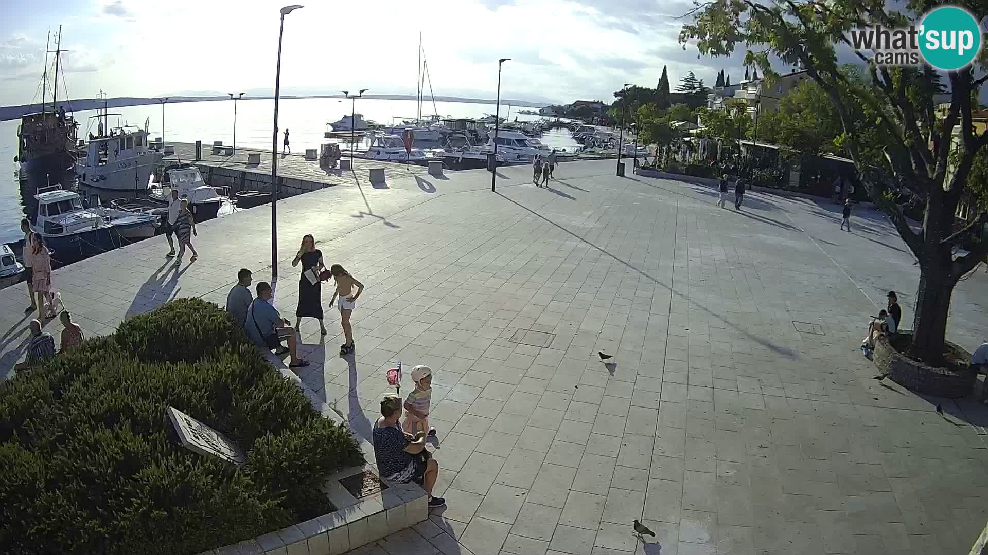 Live Cam Selce panorama – Lela appartement