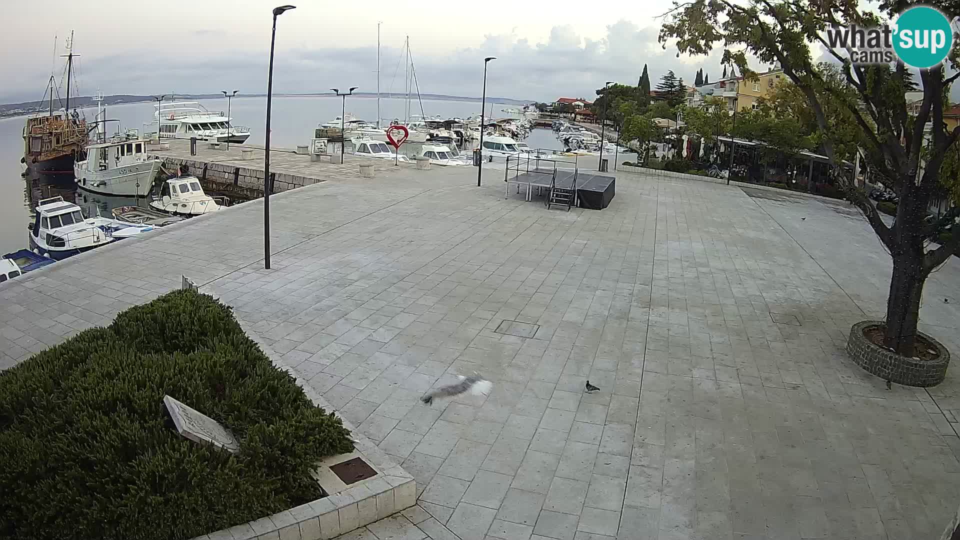 Kamera v živo Selce panorama – Pogled z apartmaja Lela