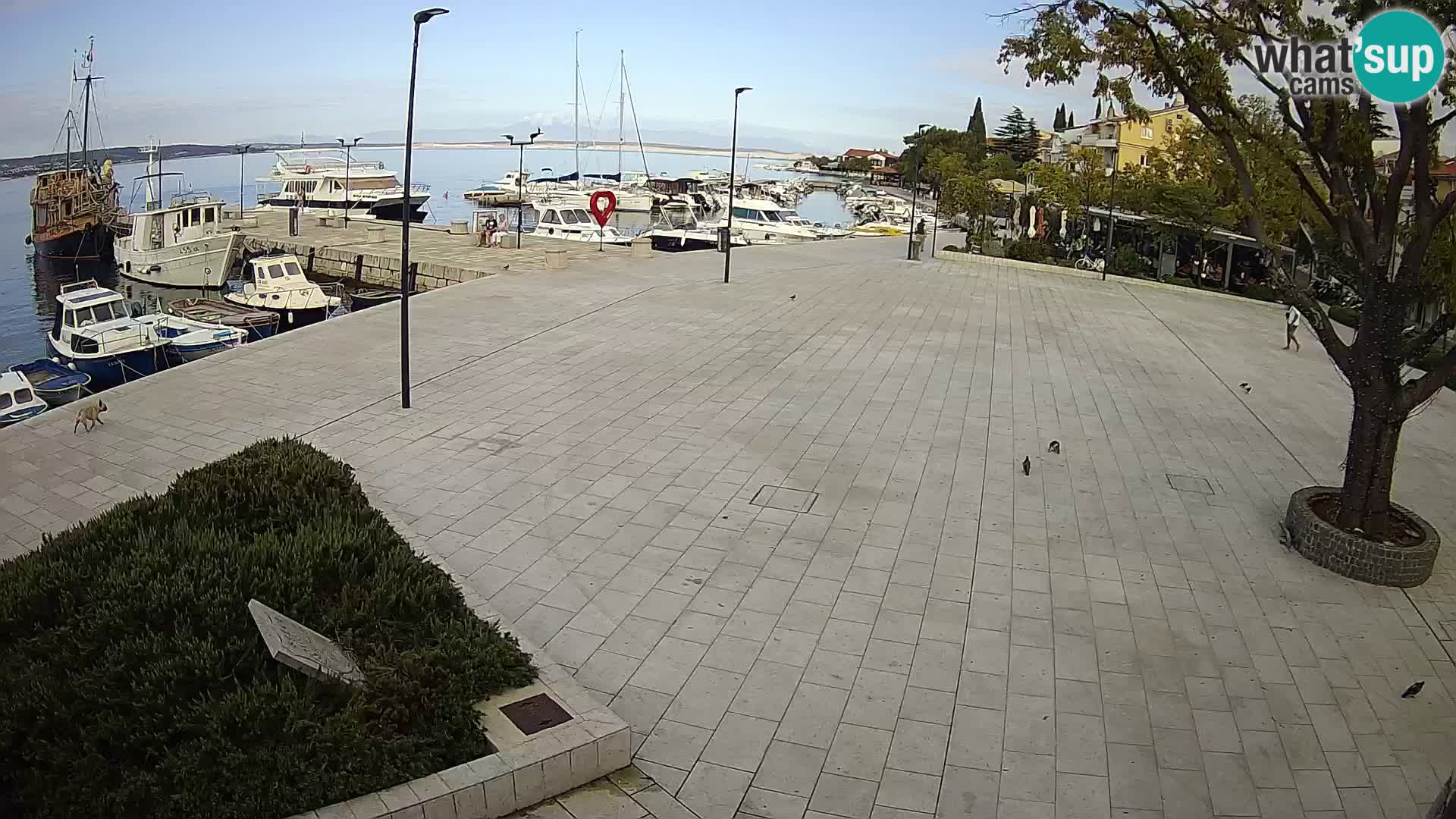 Selce webcam – Hauptplatz