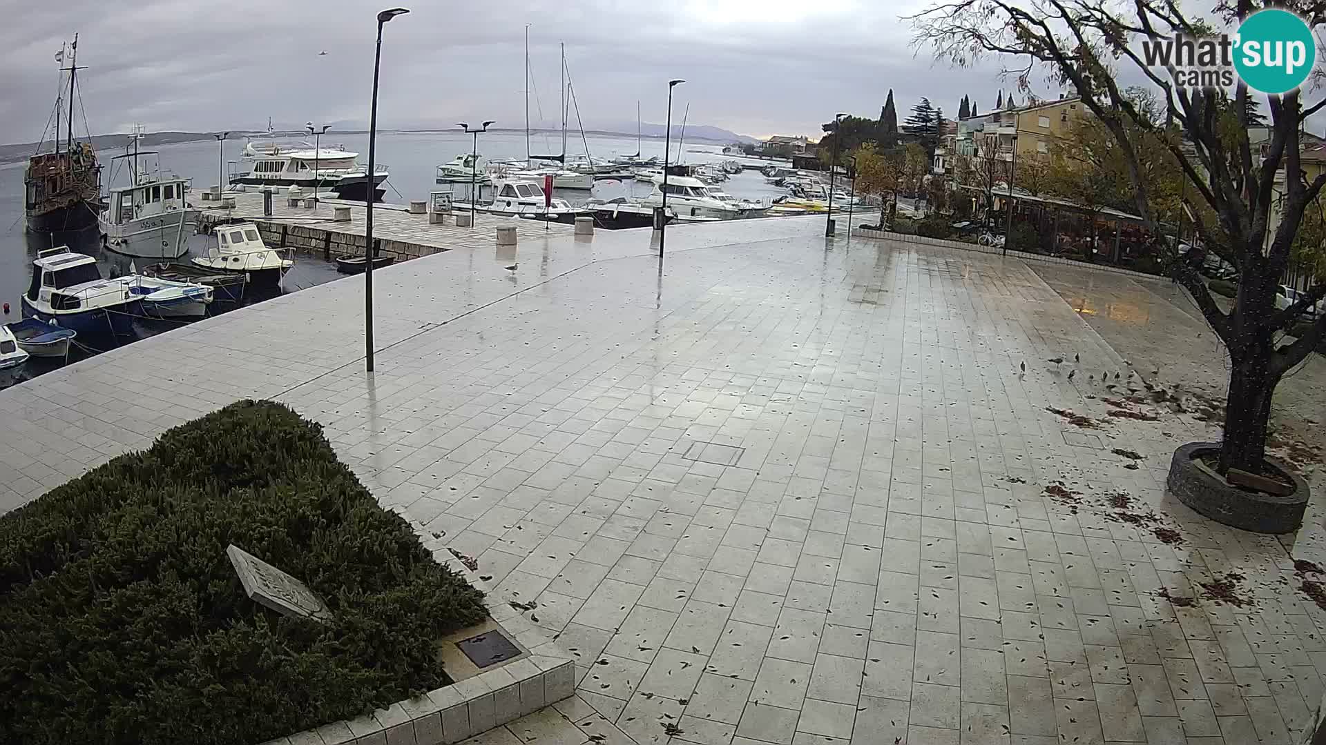 Selce web kamera – trg palih boraca