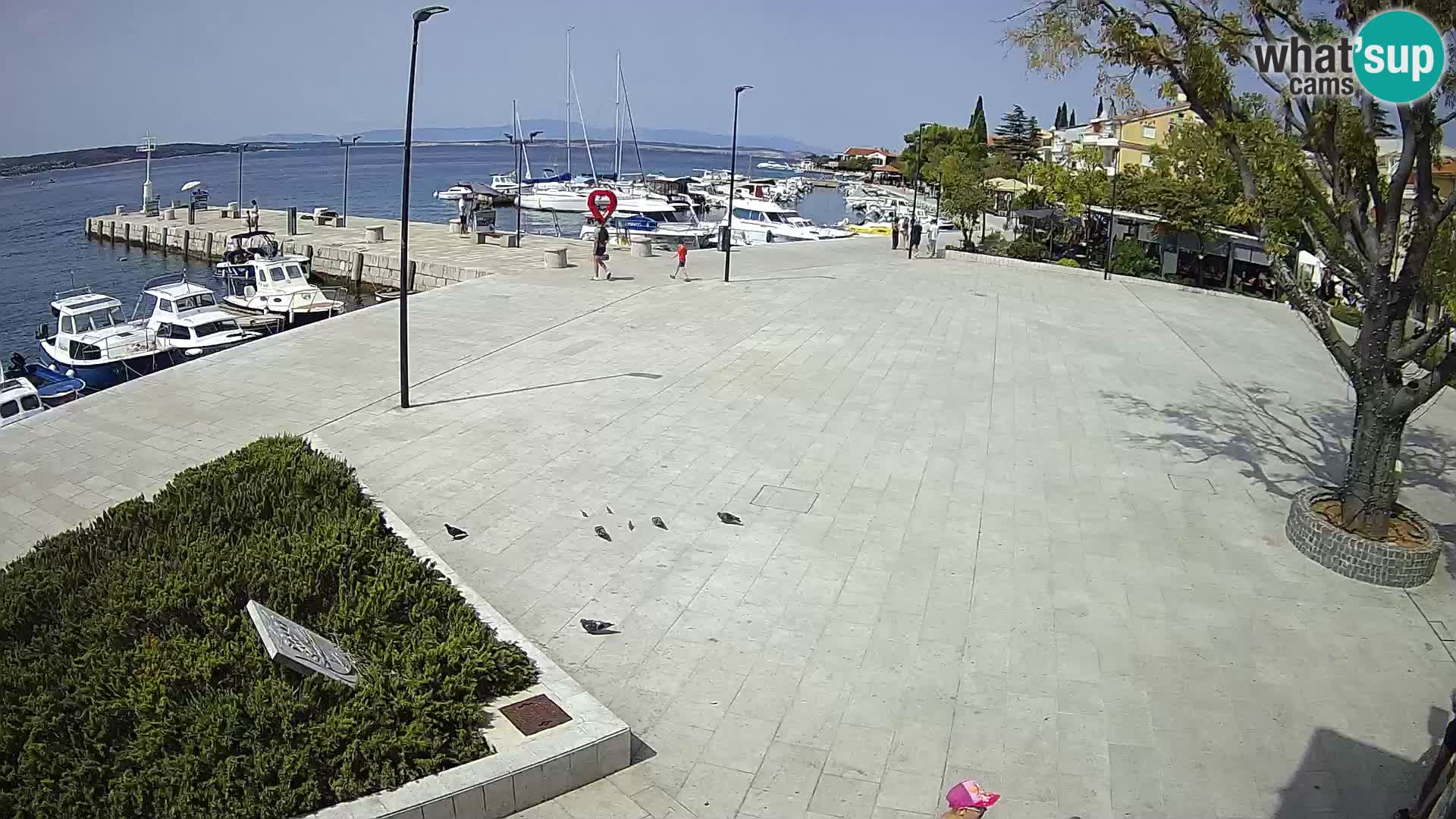 Selce Live webcam – piazza centrale