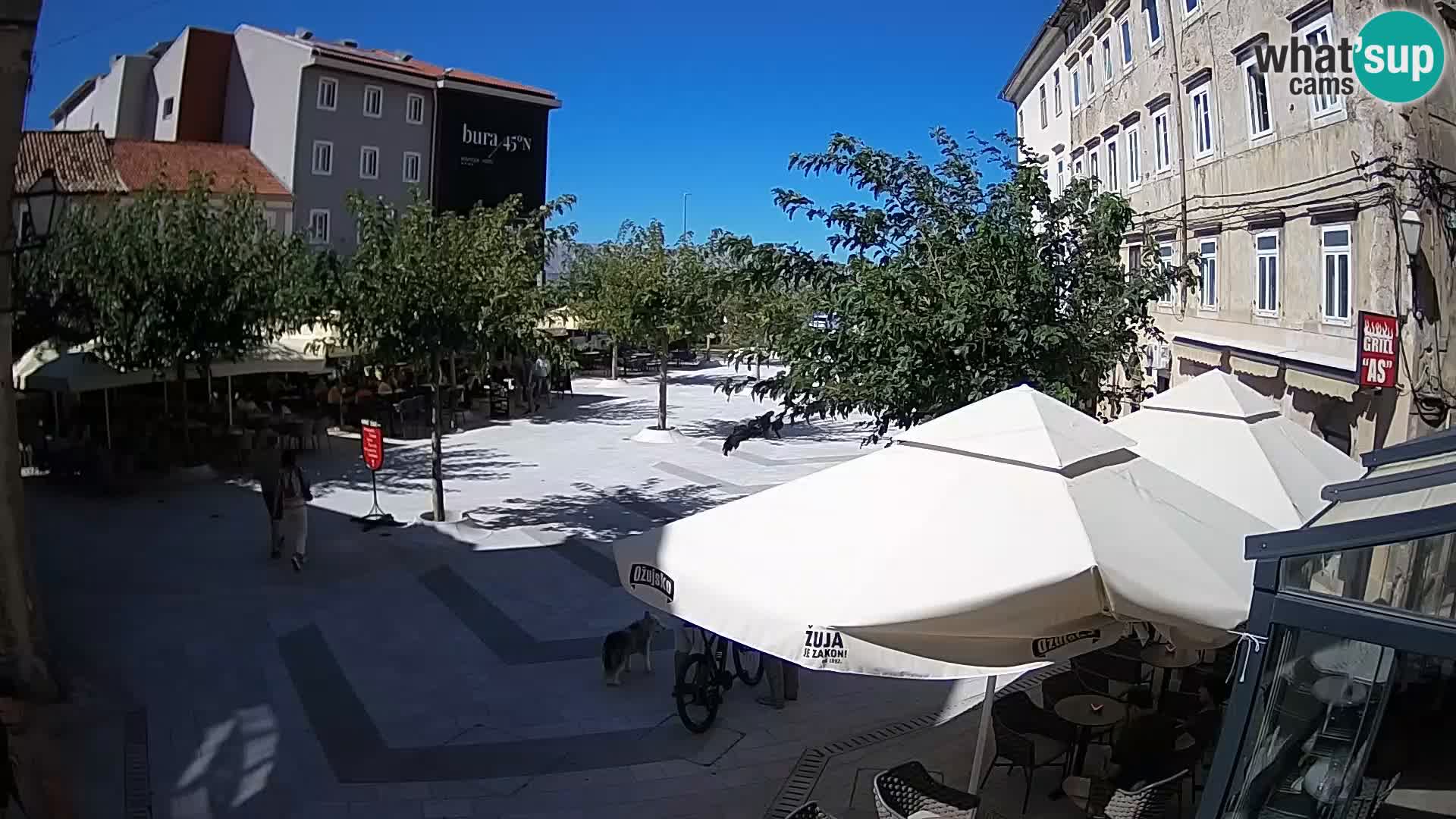 Center of Senj city – Pavlin square – Live Cam Dalmatia
