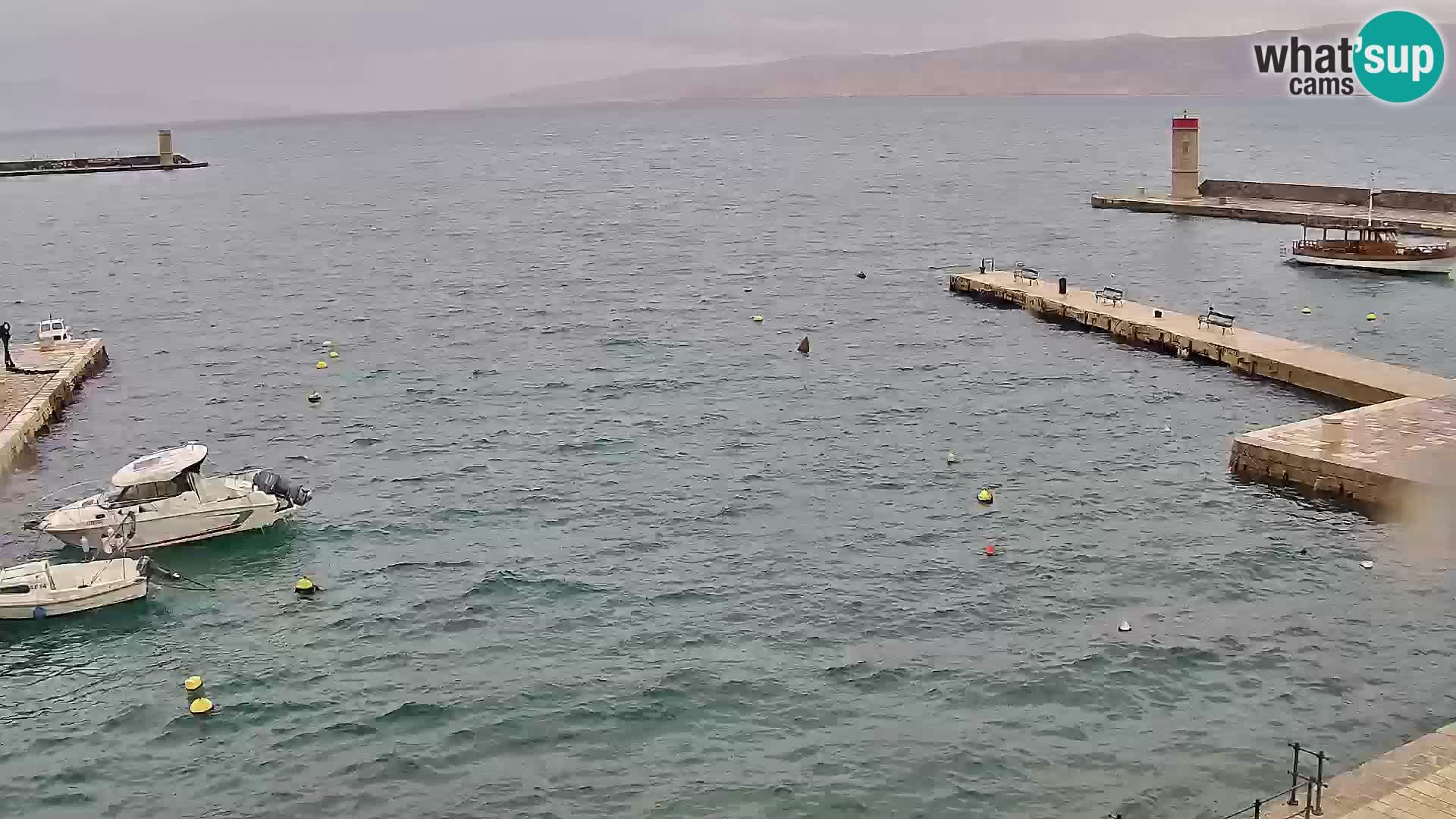 Senj camera en vivo – Vista panorámica de Senj riva