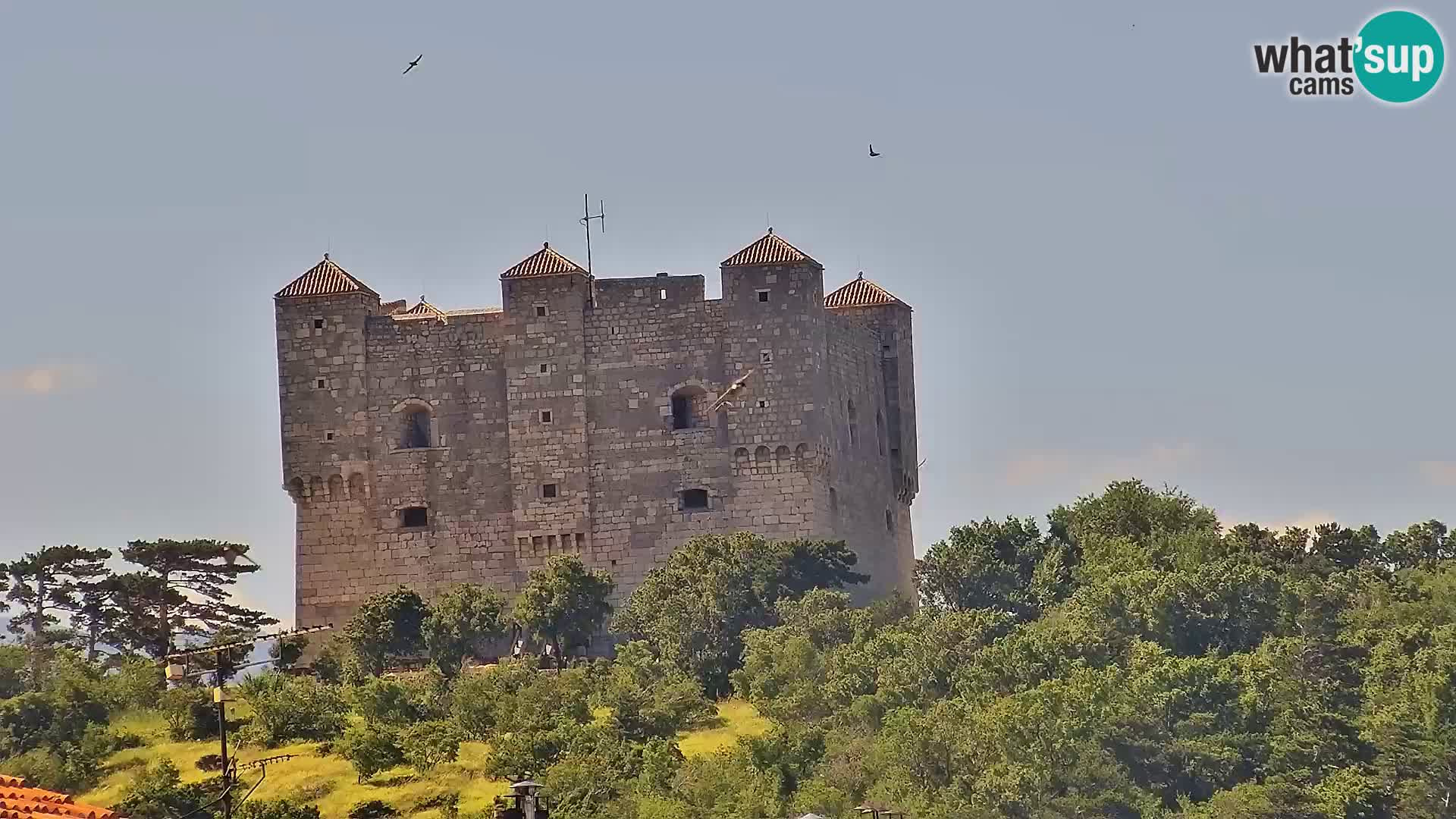 Livecam Senj – Vue panoramique de Senj riva