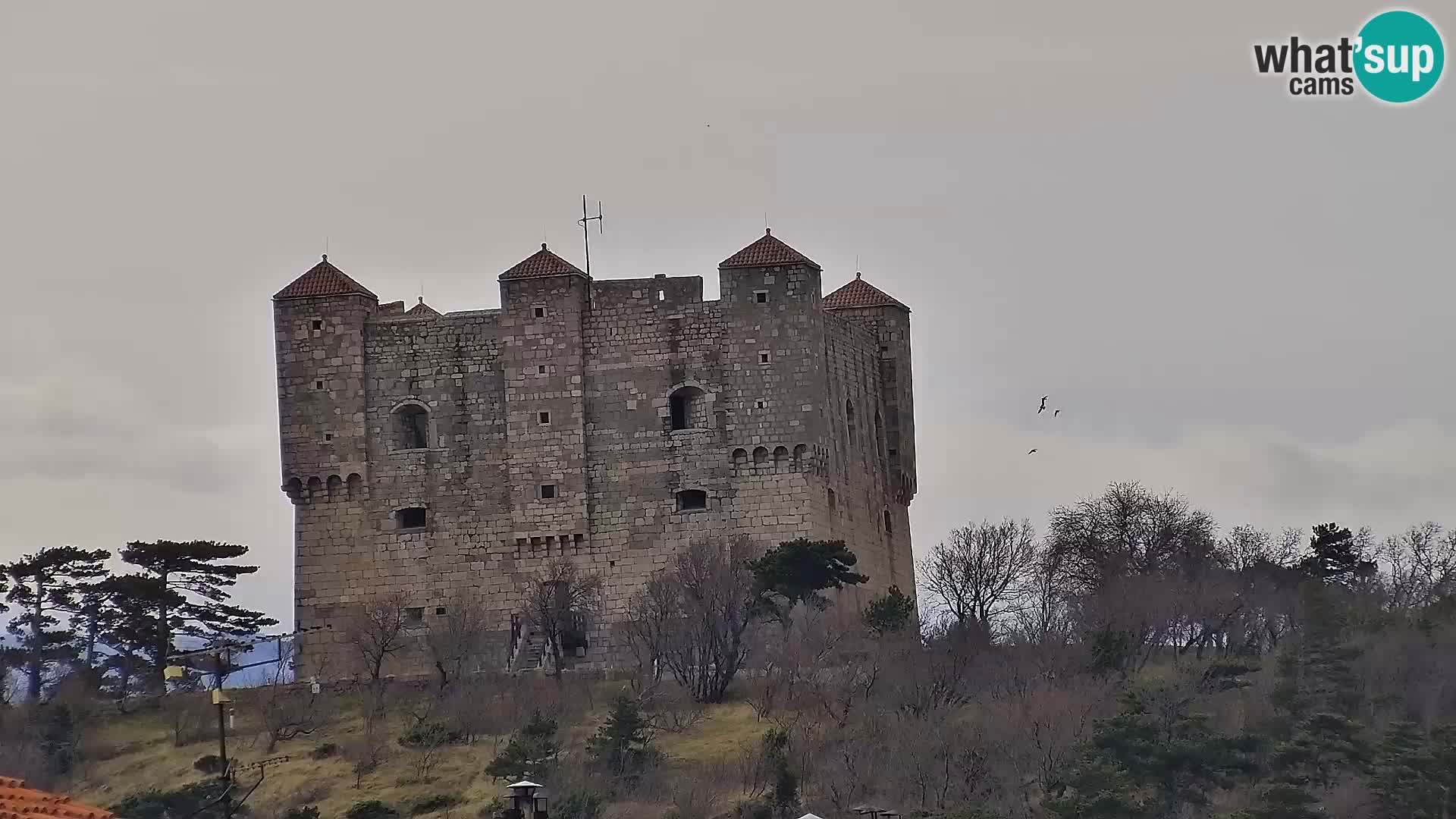 Senj Webcam – Panoramic view of Senj riva