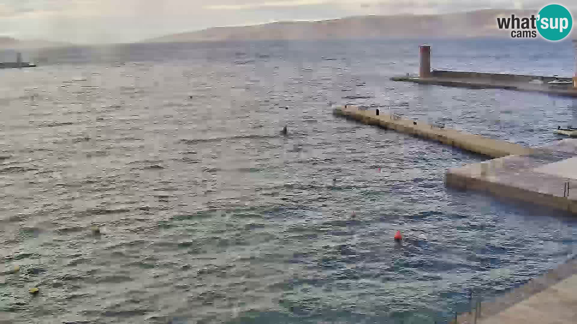Senj camera en vivo – Vista panorámica de Senj riva
