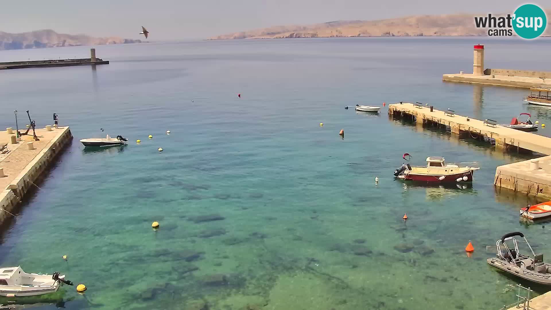 Webcam Segna – Panorama dell’lungomare di Senj
