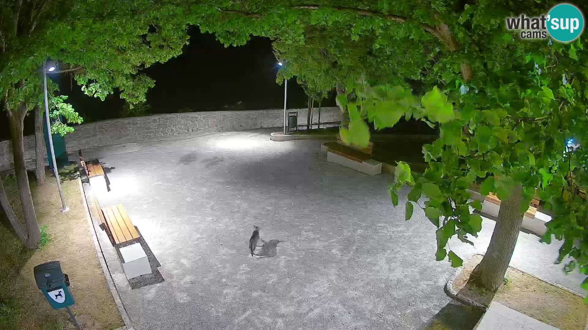 Webcam Segna Live | Parco degli Scrittori e Canale del Velebit