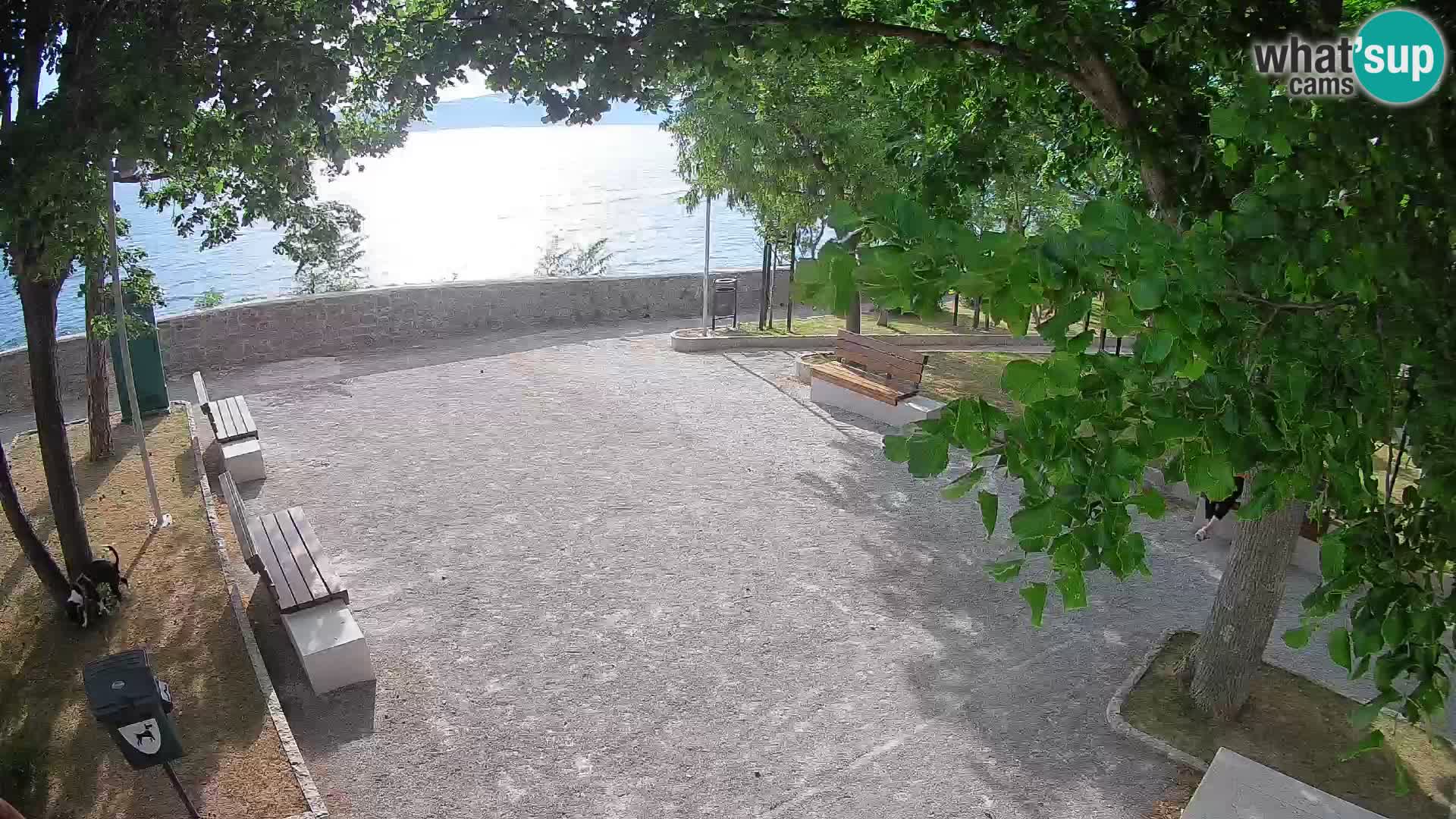 Spletna kamera Senj v živo – Park pisateljev in Velebitski kanal