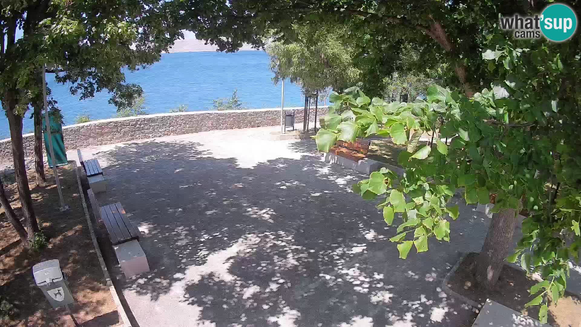 Webcam Segna Live | Parco degli Scrittori e Canale del Velebit