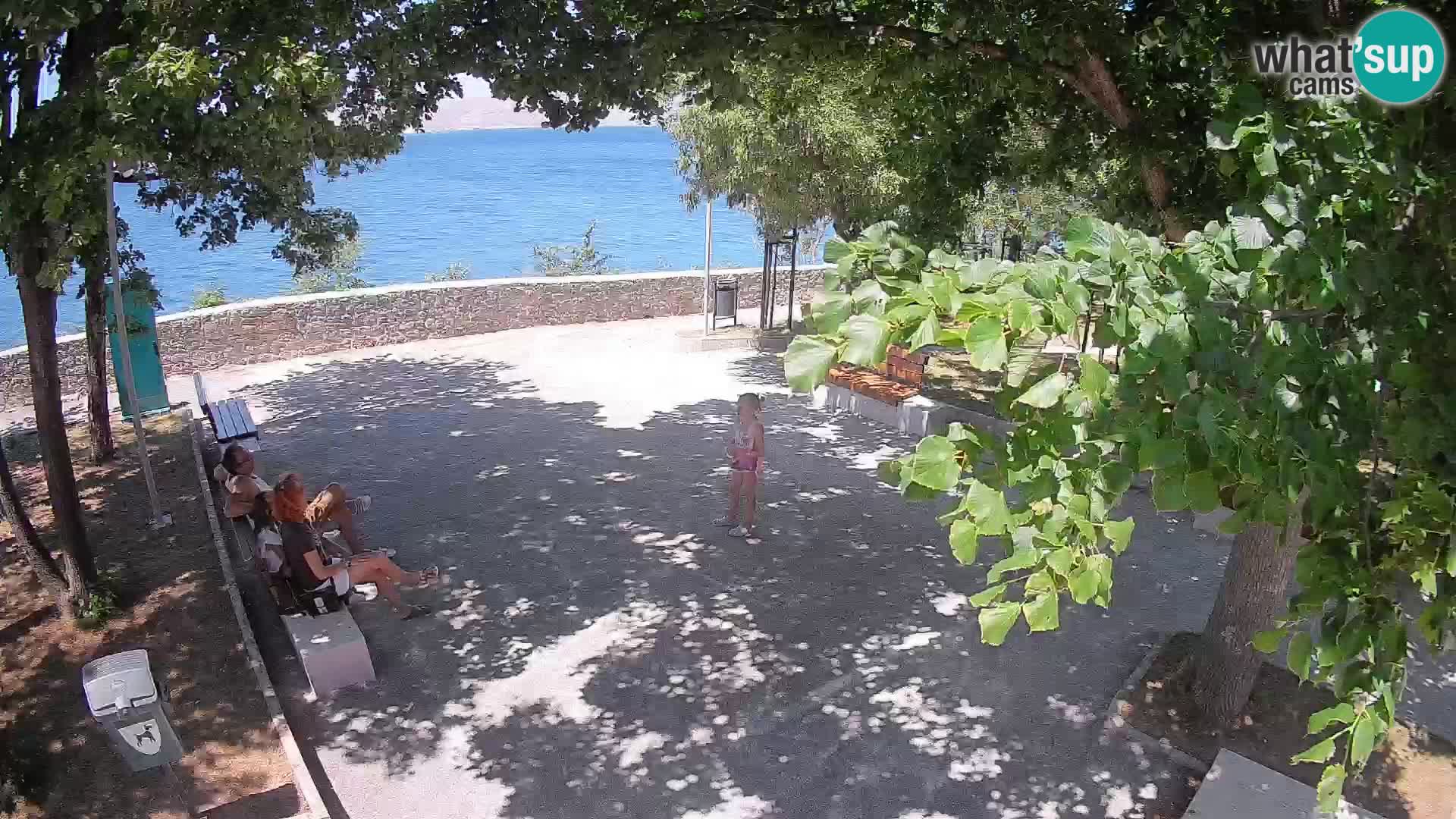 Webcam Segna Live | Parco degli Scrittori e Canale del Velebit