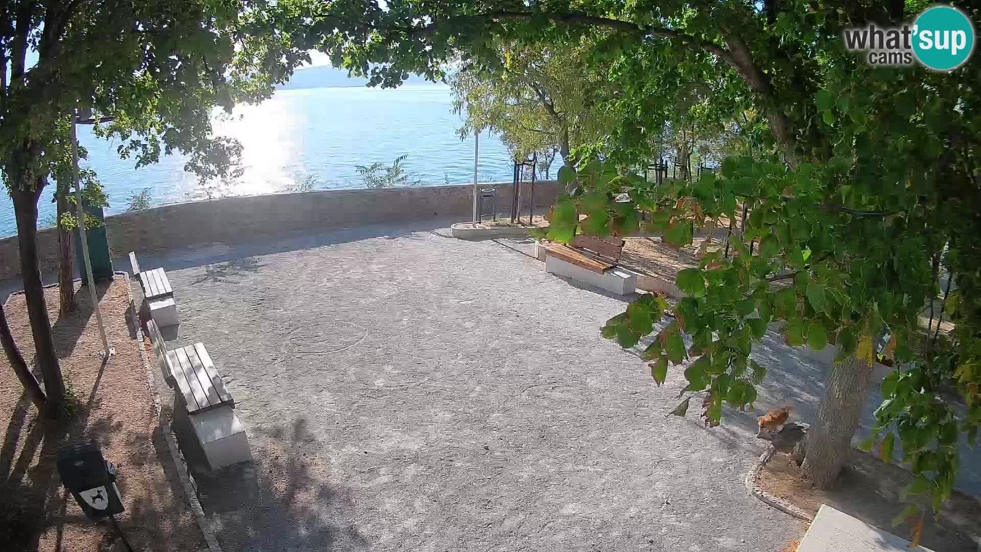 Senj Live Cam – Writers’ Park and the Velebit Channel