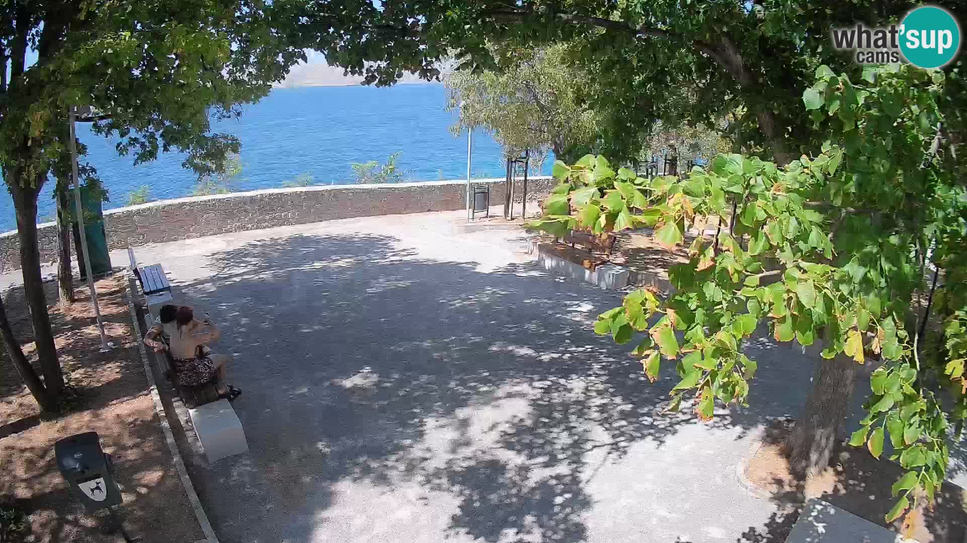 Webcam Segna Live | Parco degli Scrittori e Canale del Velebit