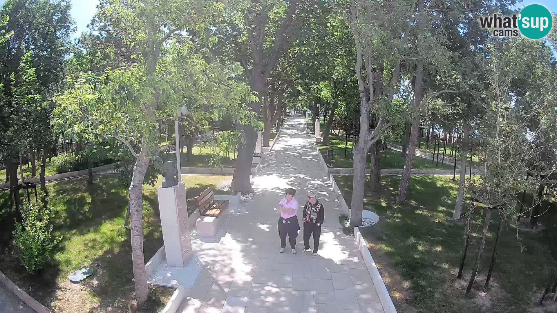 Webcam Parco degli Scrittori Segna – Diretta sul Mare