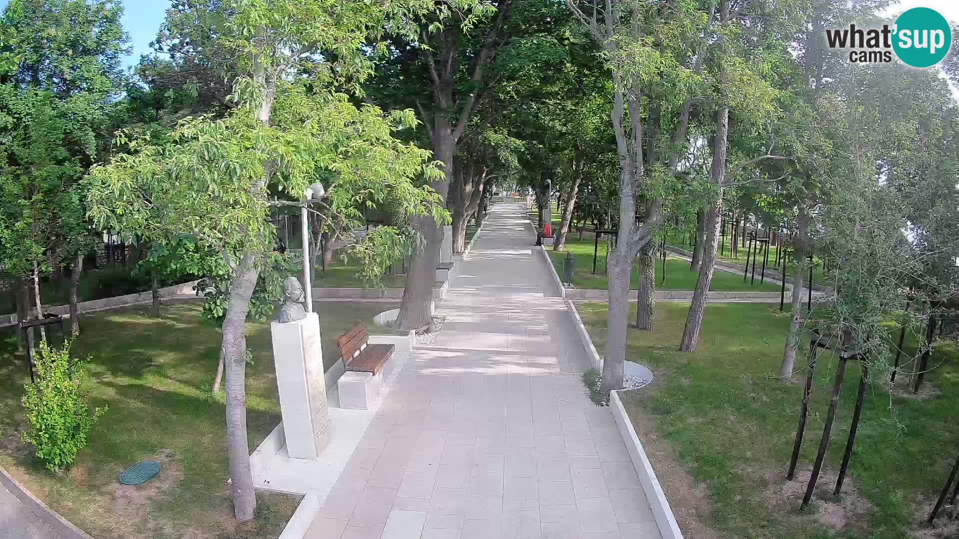 Webcam Parco degli Scrittori Segna – Diretta sul Mare
