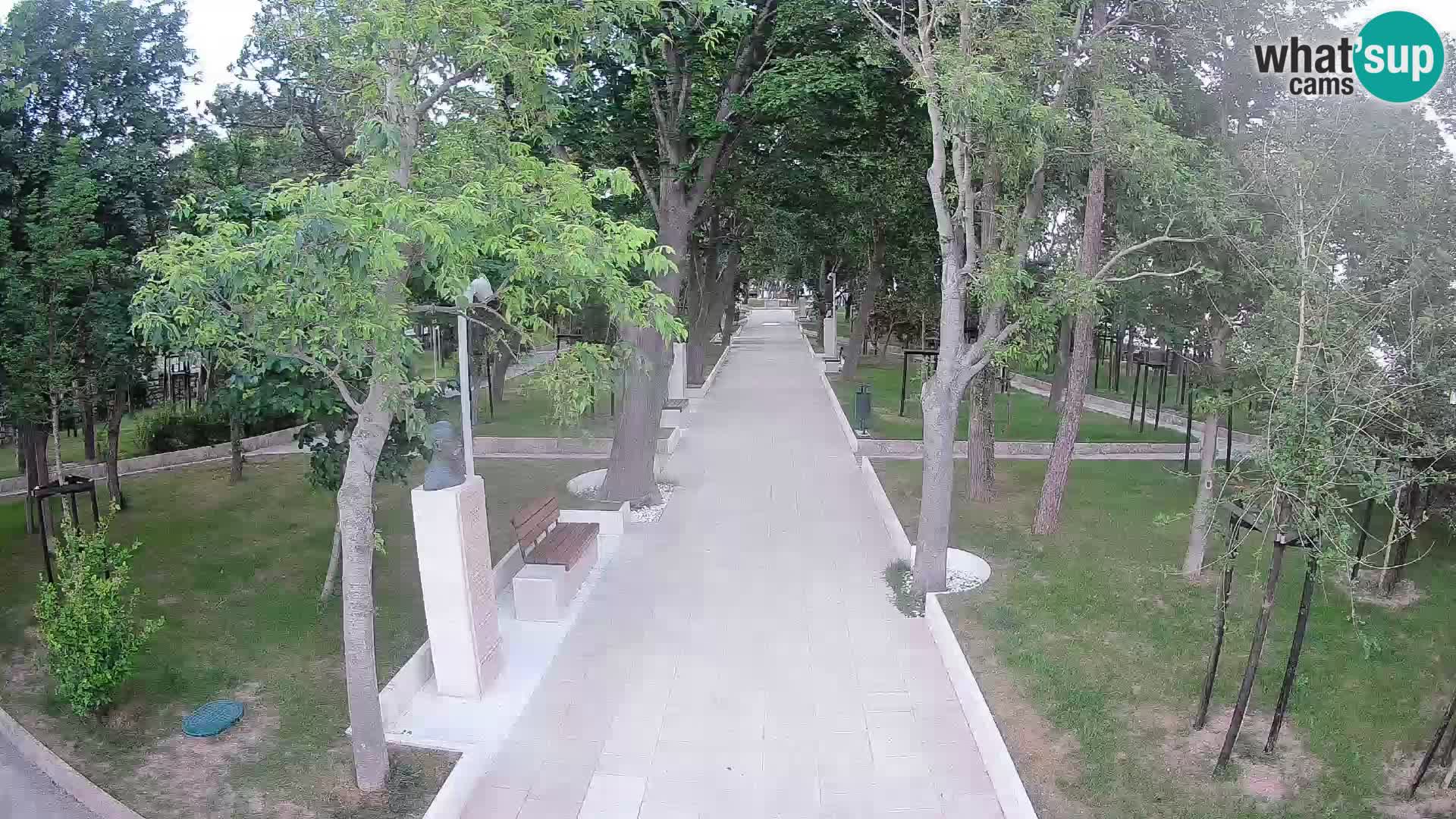 Webcam Parco degli Scrittori Segna – Diretta sul Mare