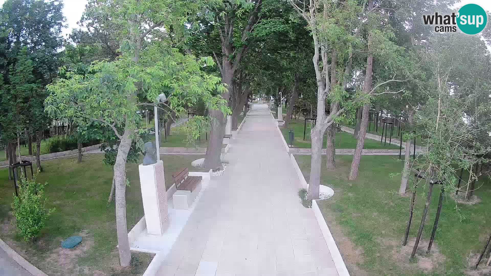 Webcam Parco degli Scrittori Segna – Diretta sul Mare