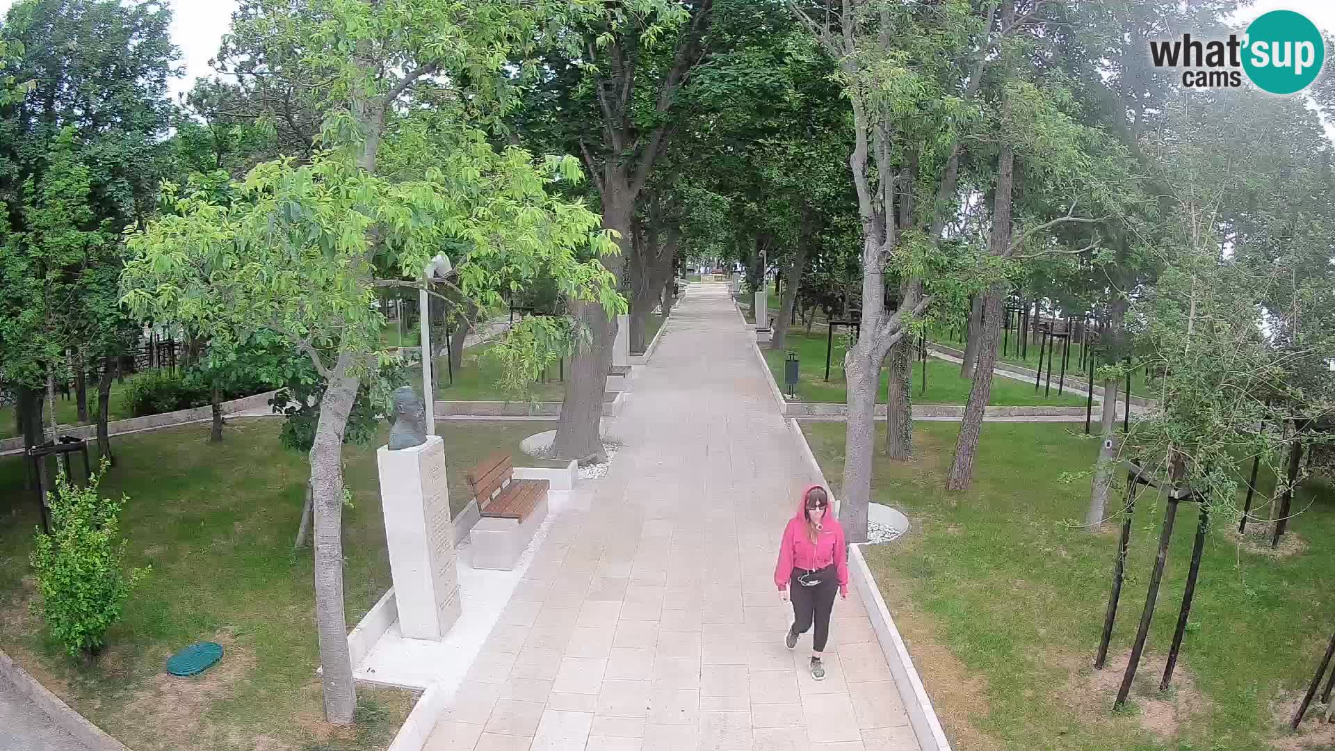 Webcam Parco degli Scrittori Segna – Diretta sul Mare